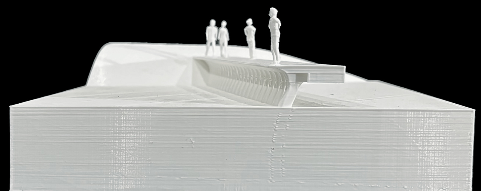 SECTIONAL PERSPECTIVE