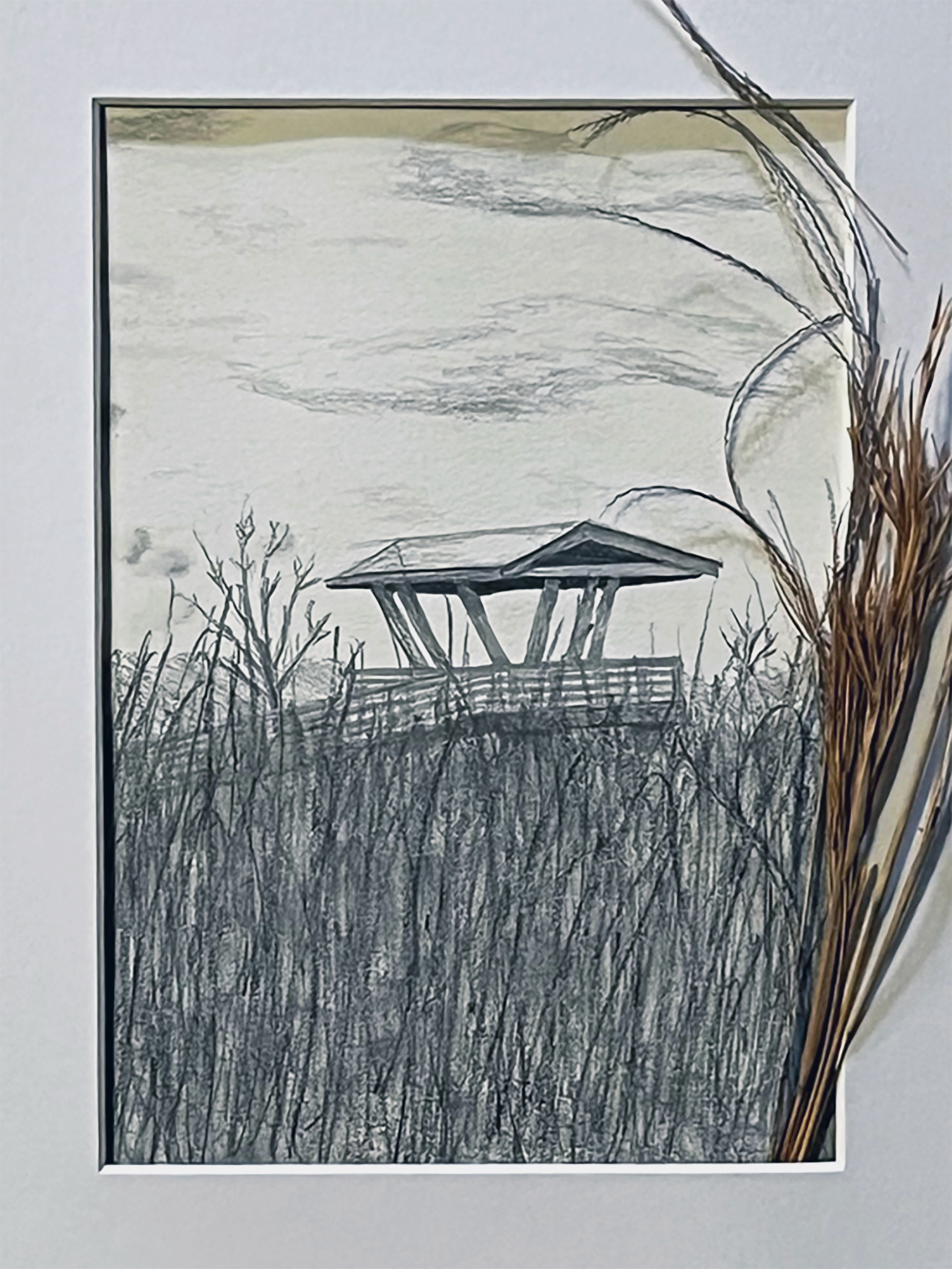 GRASS FIELD STRUCTURE