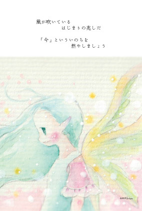 No.144 妖精48 fairwind