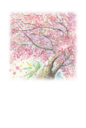No.104 桜吹雪