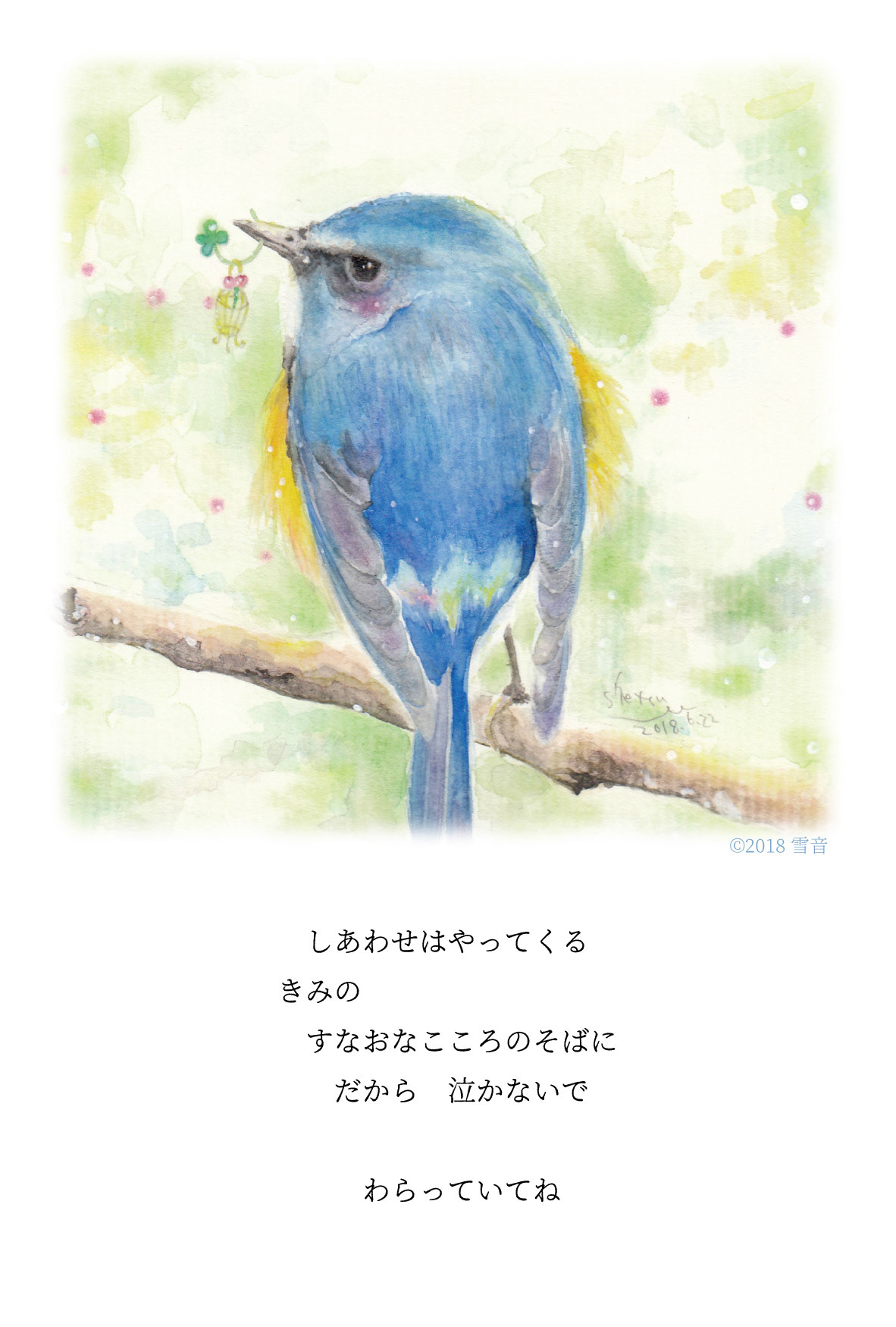 No.65 ハルノオト54幸せのルリビタキ