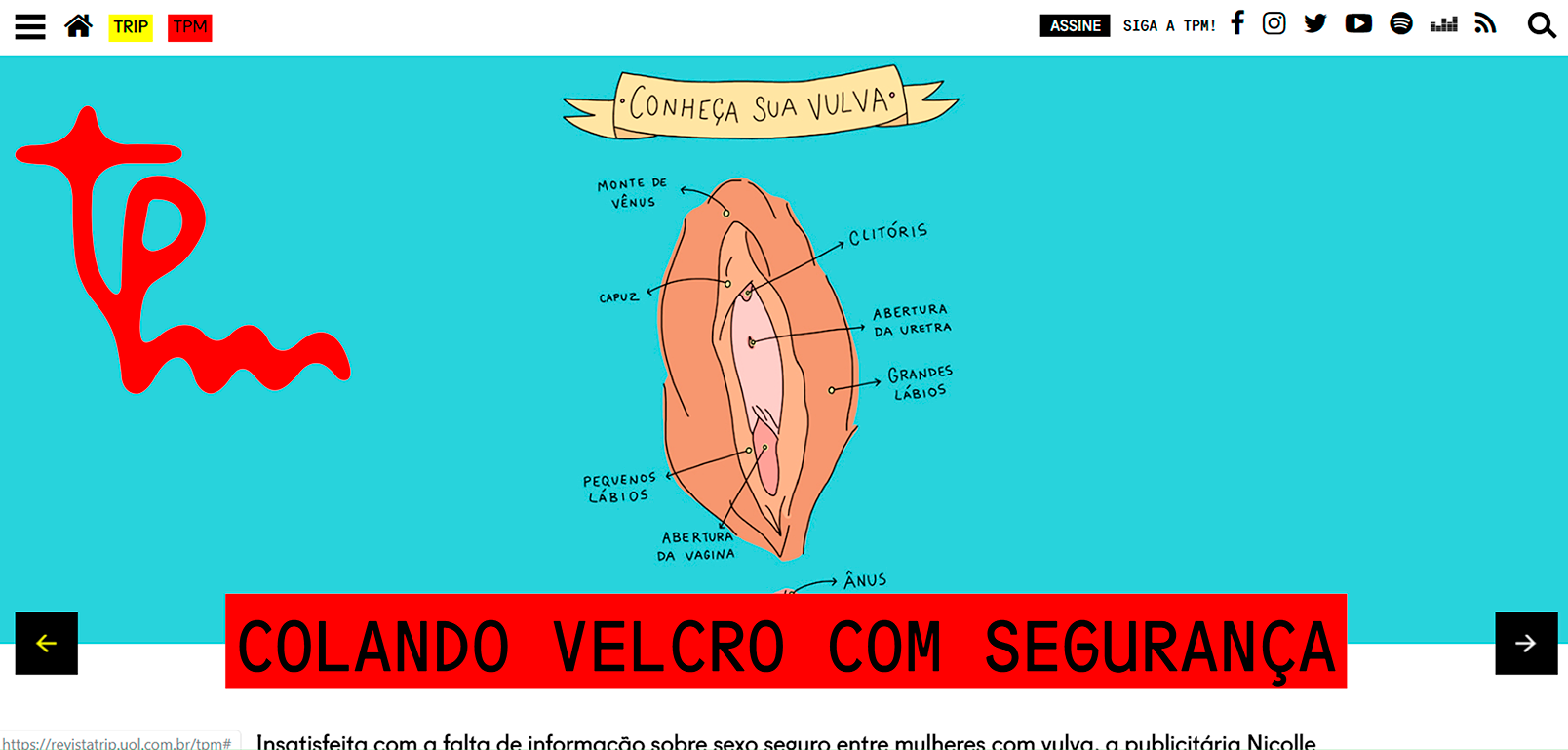TPM: https://revistatrip.uol.com.br/tpm/nicolle-sartor-cria-cartilha-sobre-sexo-seguro-entre-mulheres-com-vulva