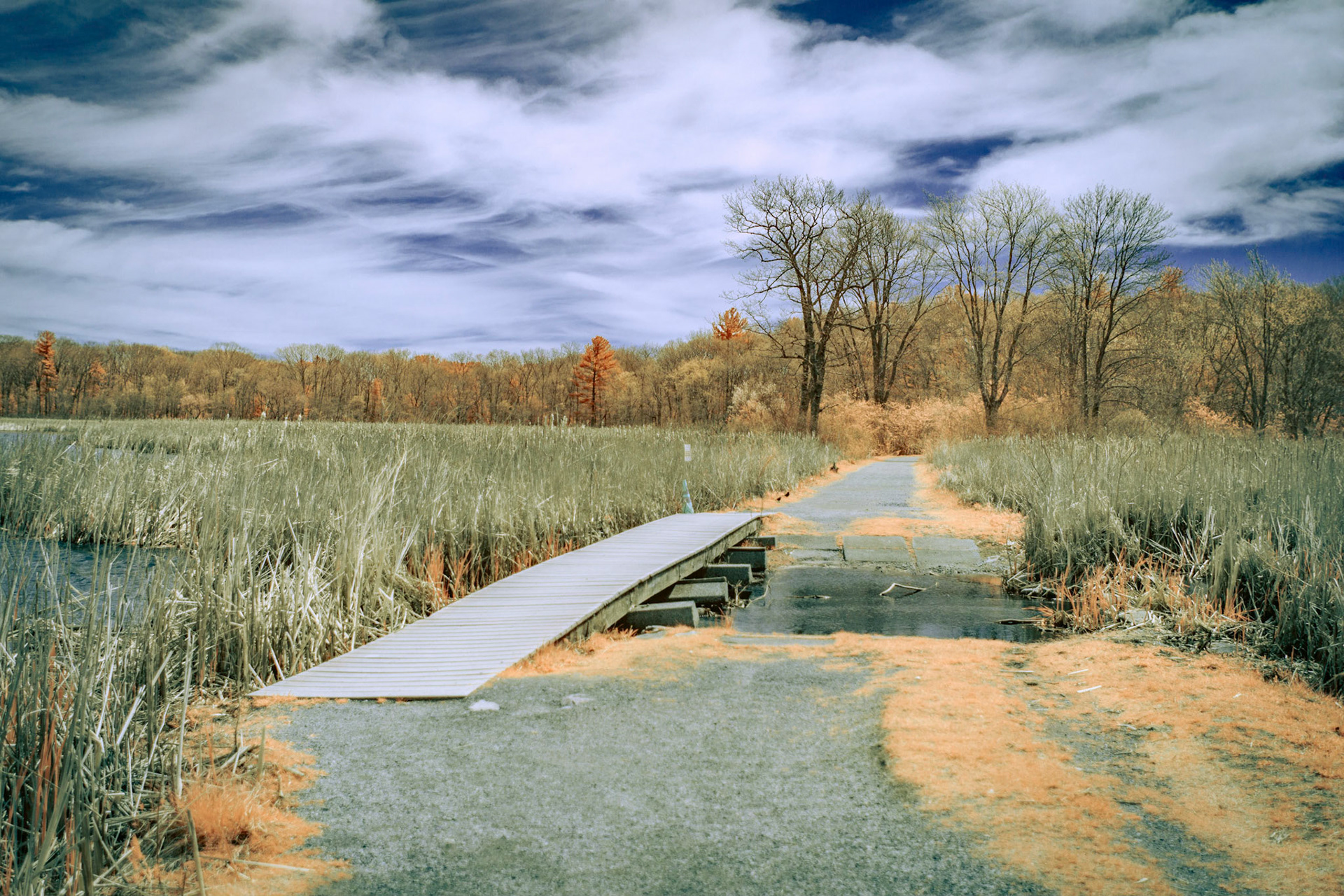 Canon 6D 590nm Extreme Color IR