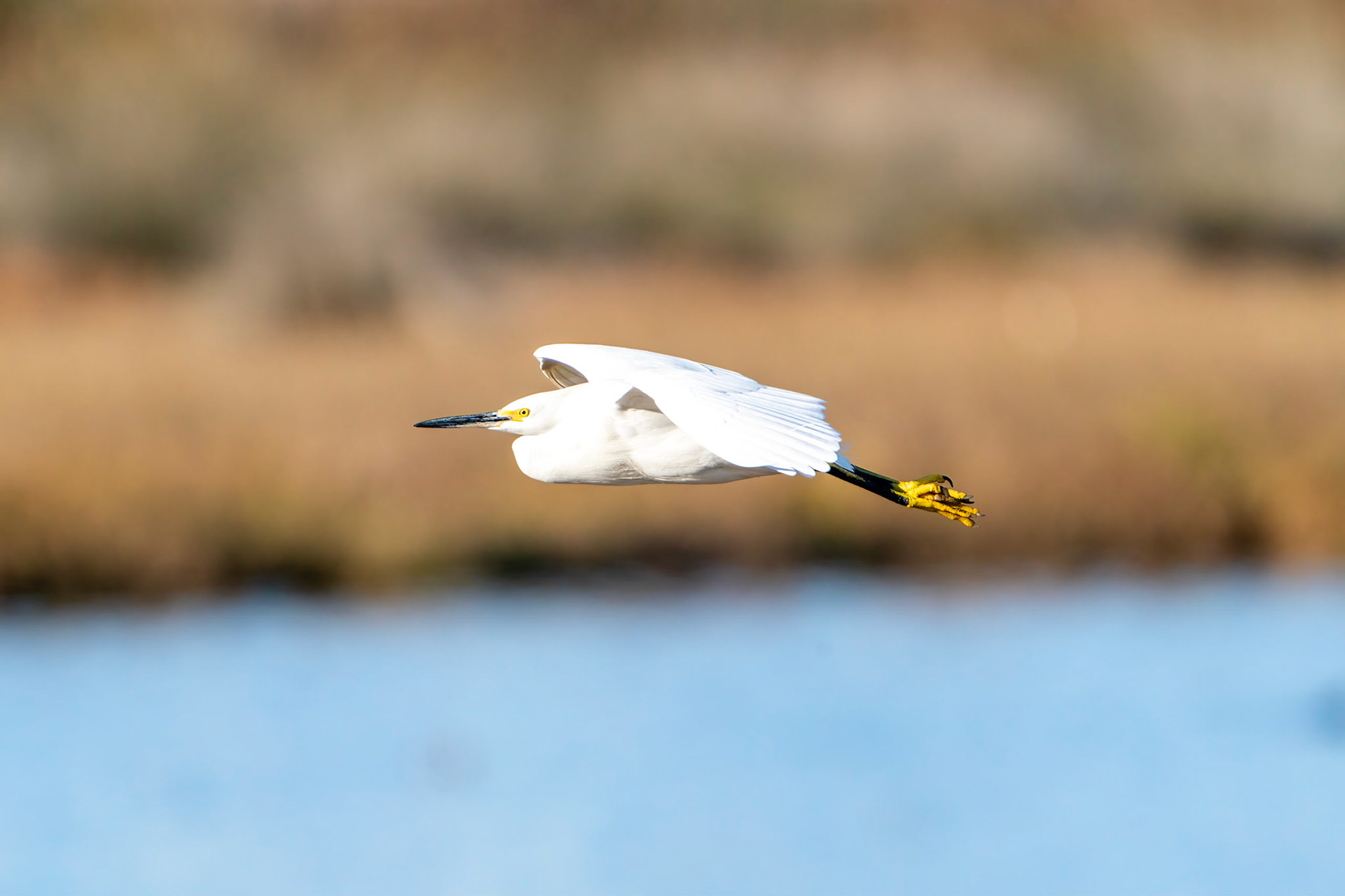 © 2021 Joseph Jenkinswww.breathe-underwater.comjoe@breathe-underwater.com