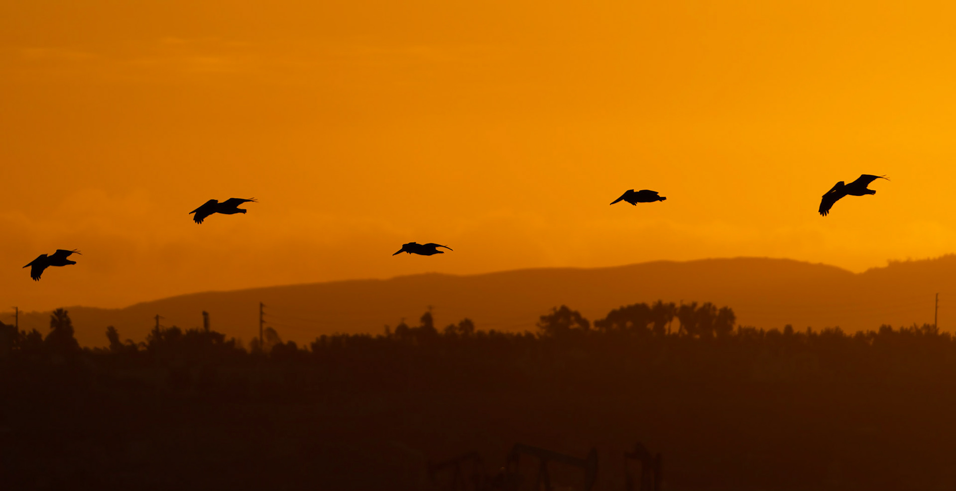 © 2021 Joseph Jenkinswww.breathe-underwater.comjoe@breathe-underwater.com