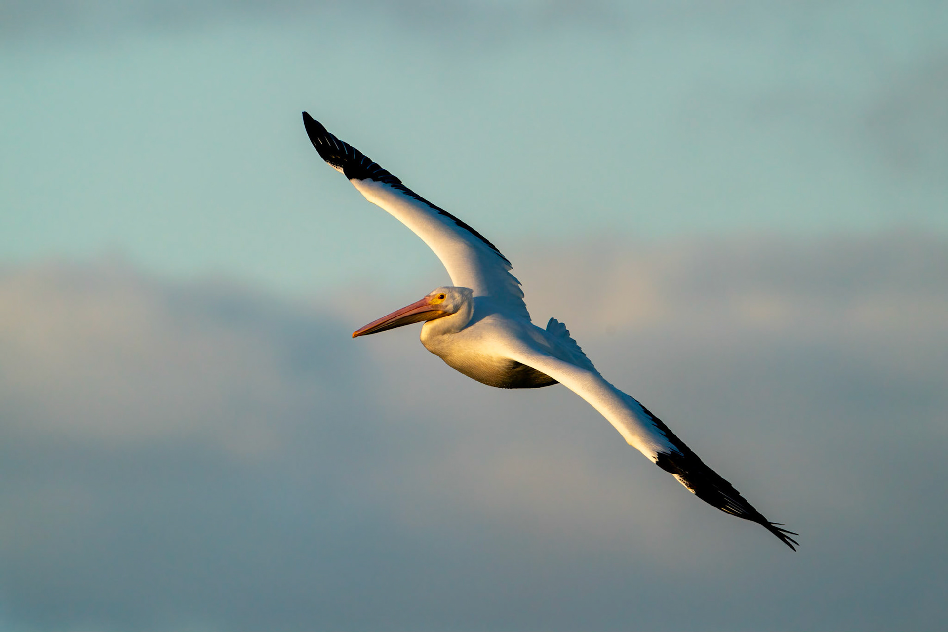 © 2021 Joseph Jenkinswww.breathe-underwater.comjoe@breathe-underwater.com