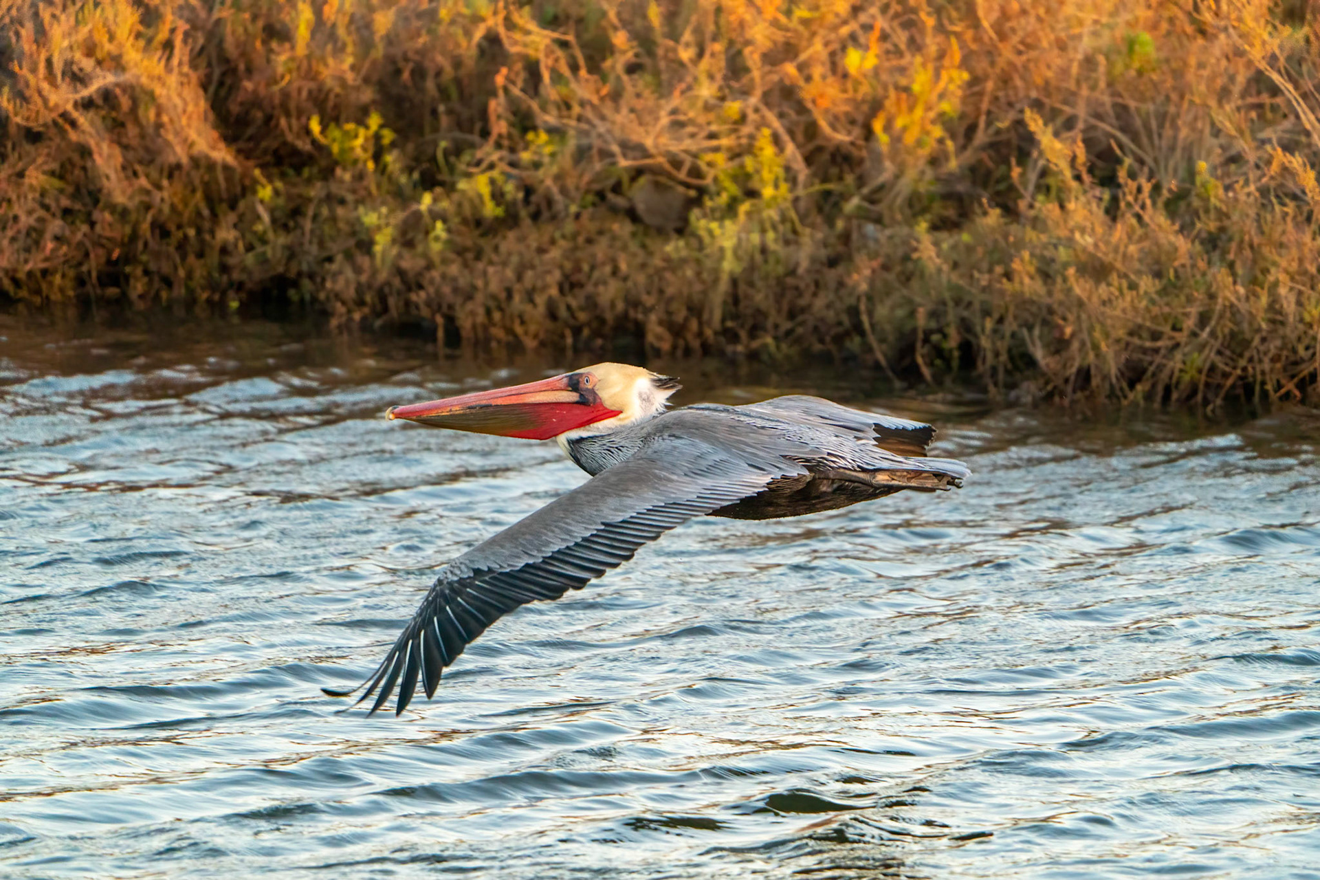 © 2021 Joseph Jenkinswww.breathe-underwater.comjoe@breathe-underwater.com