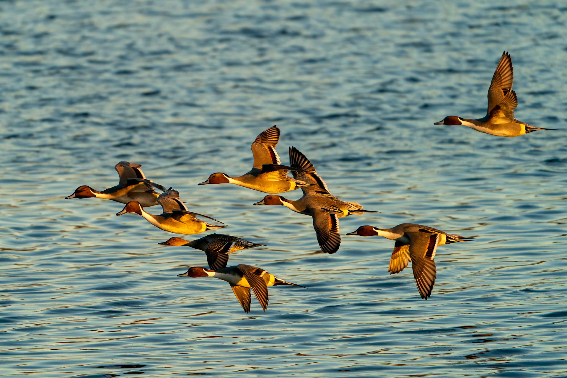 © 2021 Joseph Jenkinswww.breathe-underwater.comjoe@breathe-underwater.com