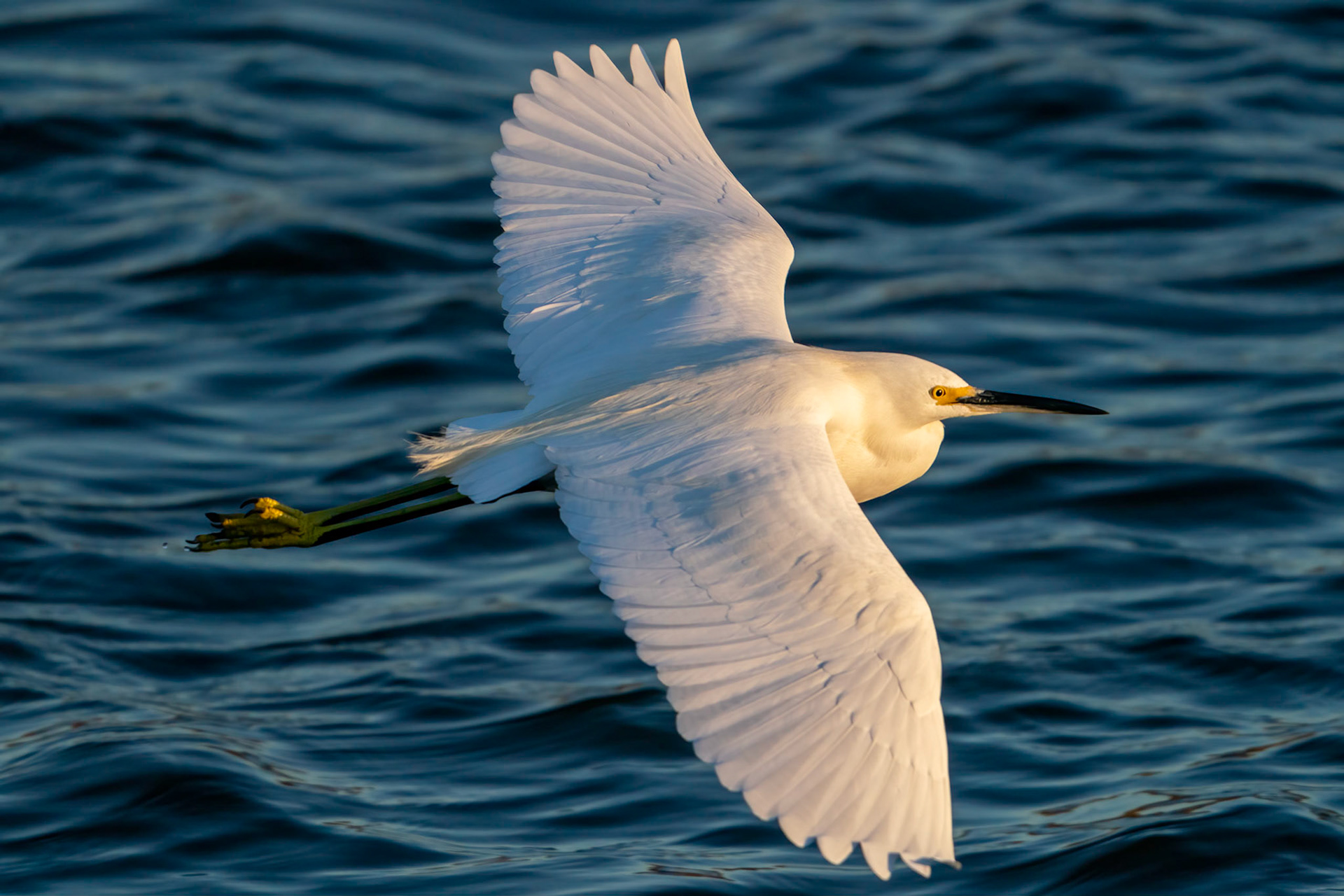 © 2021 Joseph Jenkinswww.breathe-underwater.comjoe@breathe-underwater.com