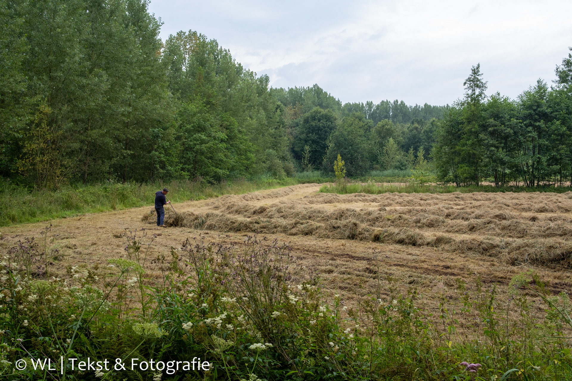 Het Van Gogh-landschap is praktisch onveranderd