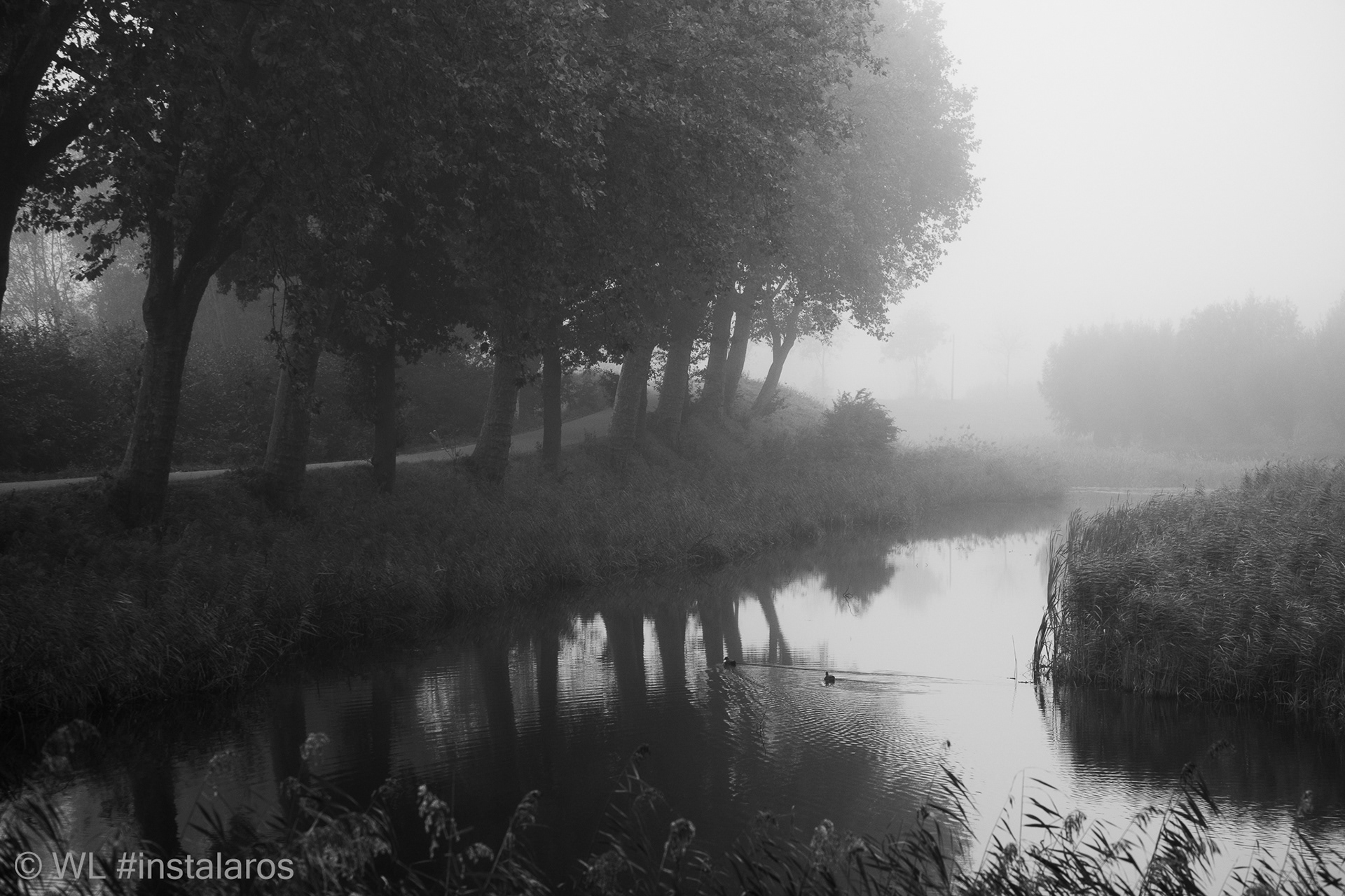 Fort Everdingen | mist