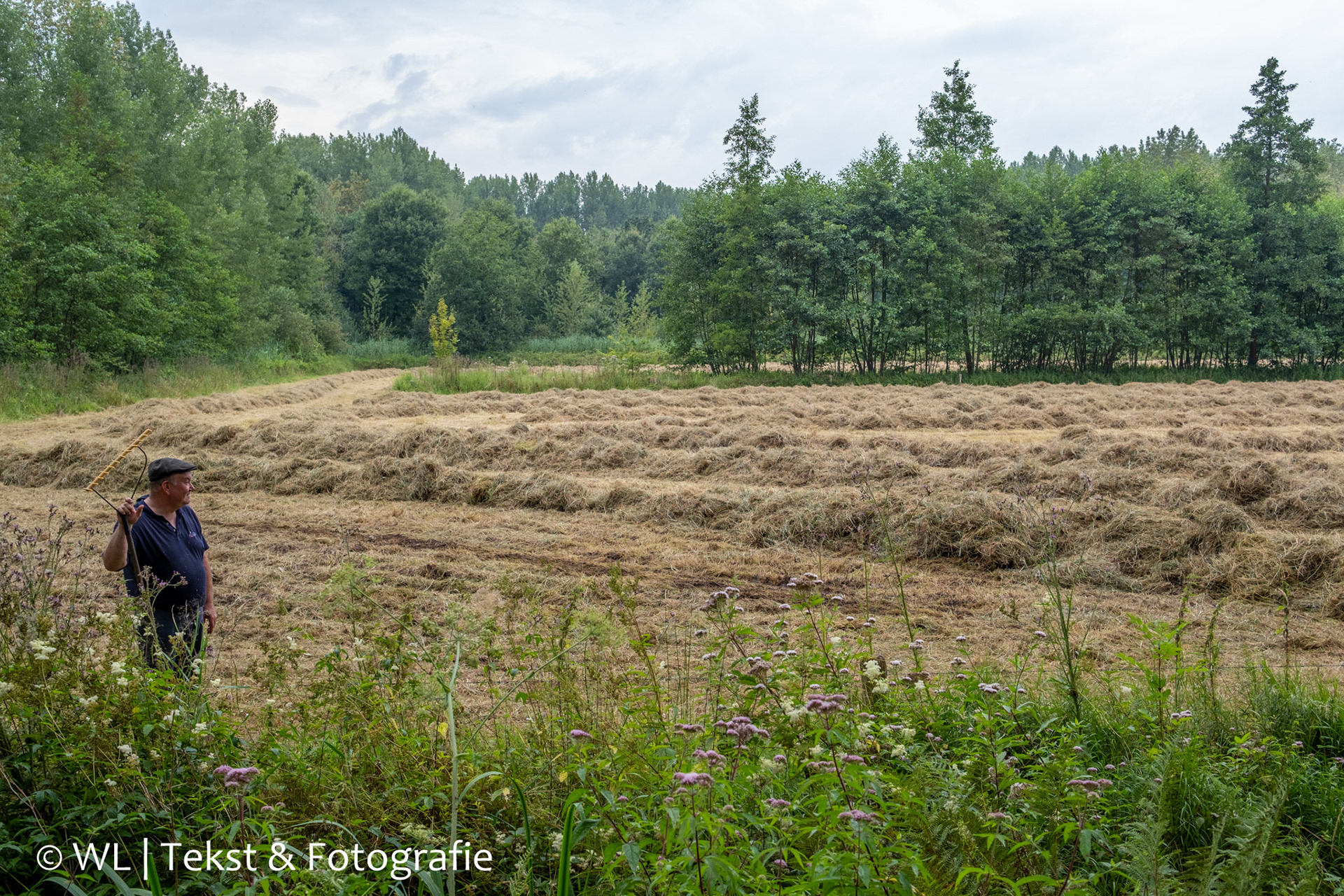 Het Van Gogh-landschap is praktisch onveranderd