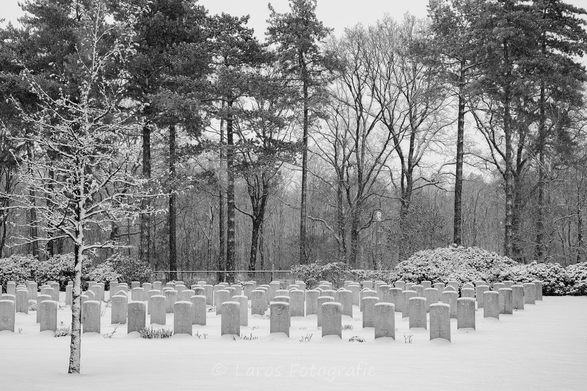 Sneeuw: 5 januari 2026