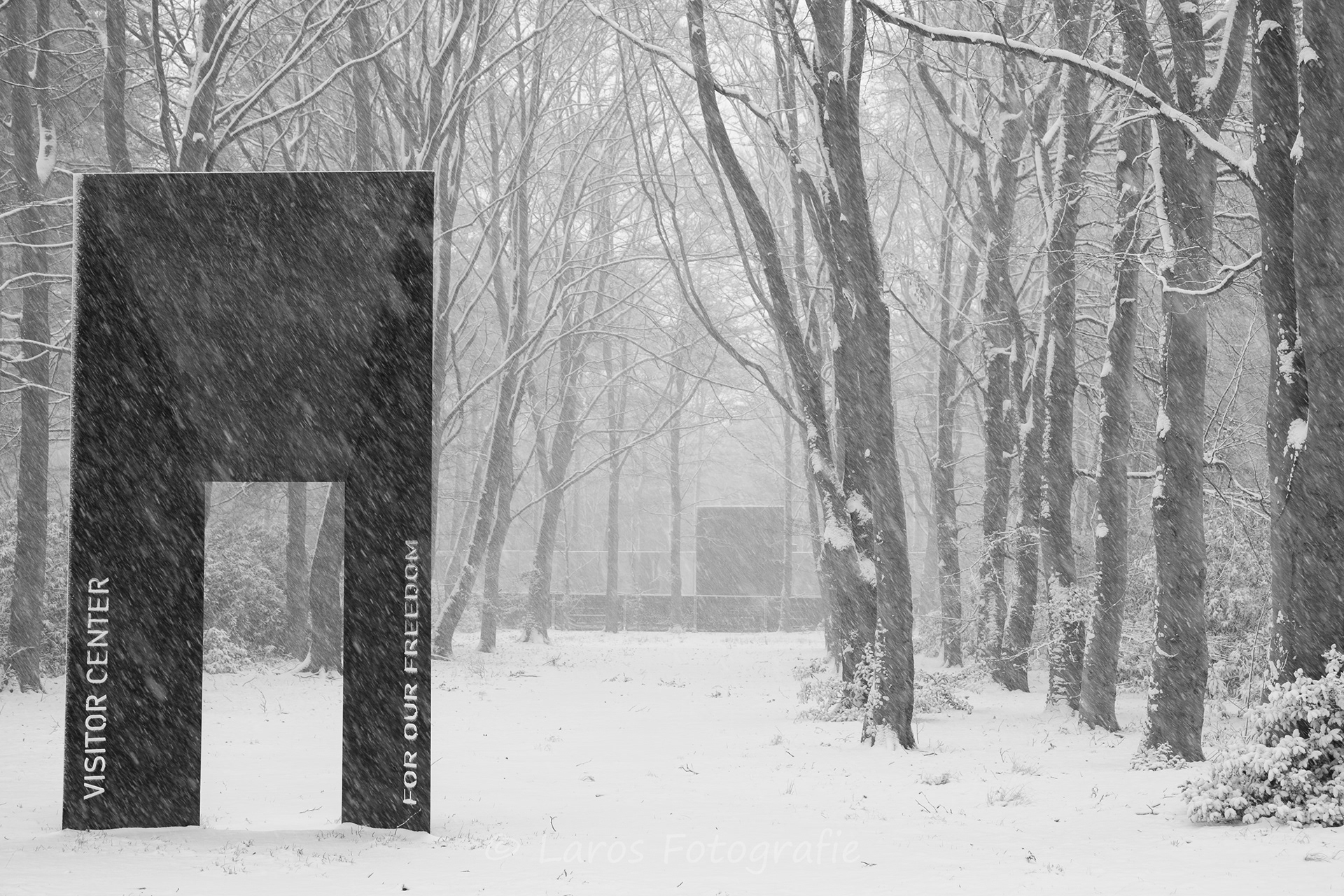 Sneeuw: 5 januari 2026