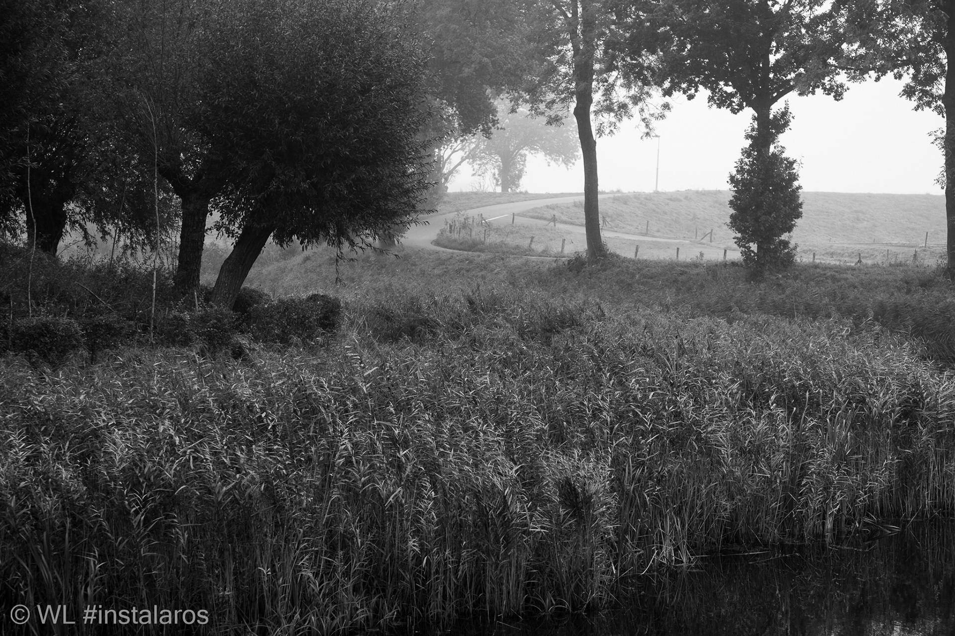 Fort Everdingen | mist