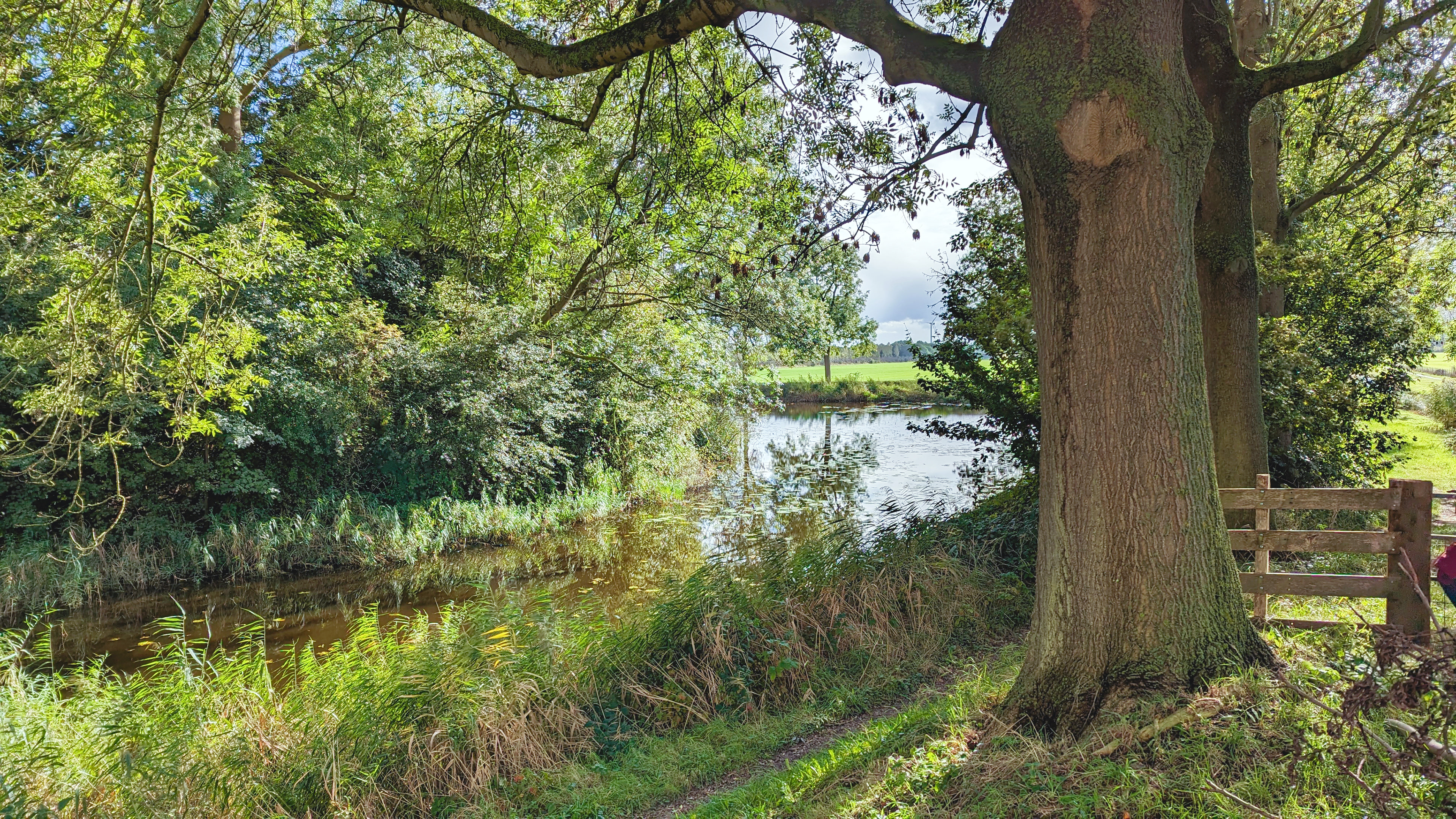 Wandelen langs de Lek