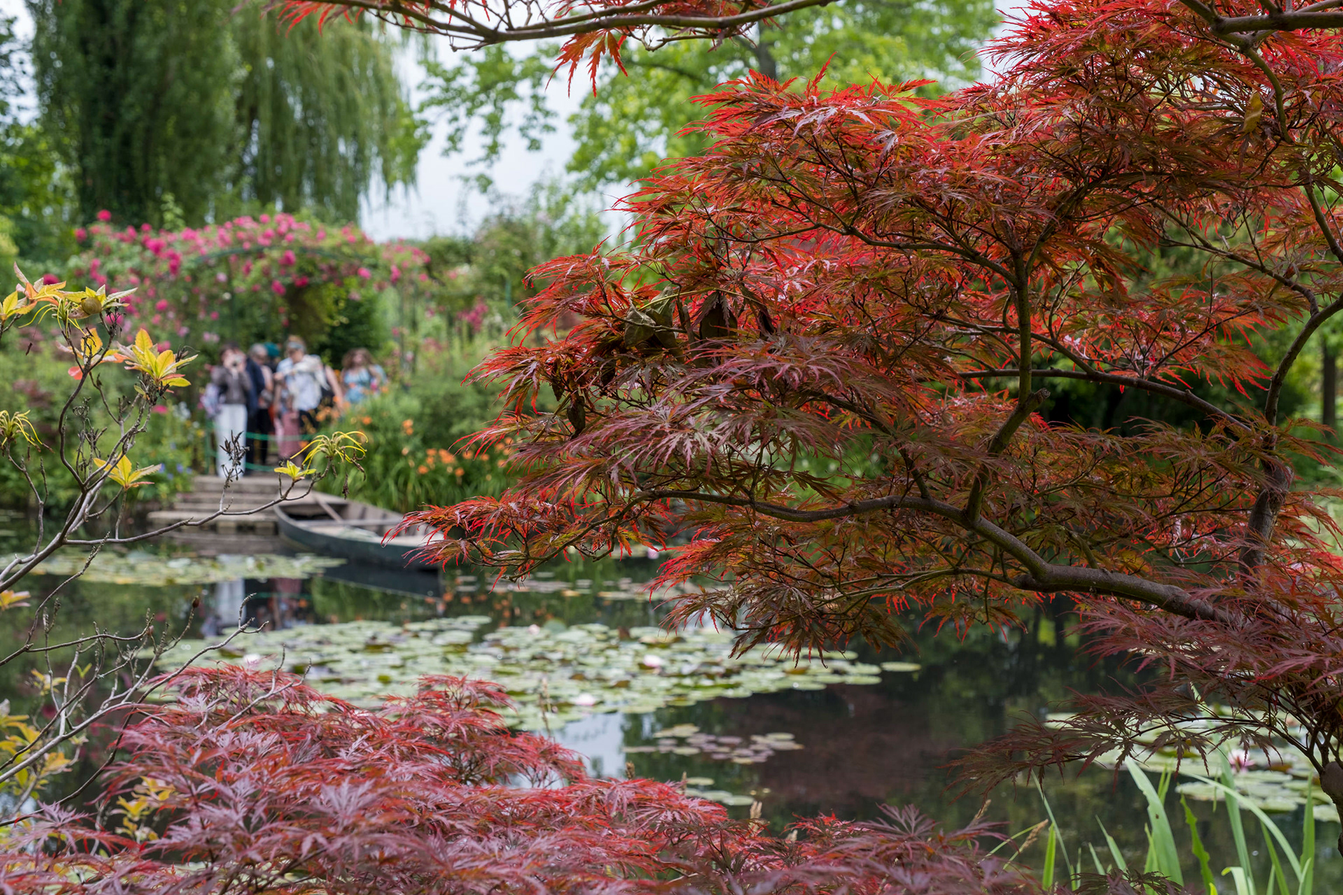 Tuinen van Monet