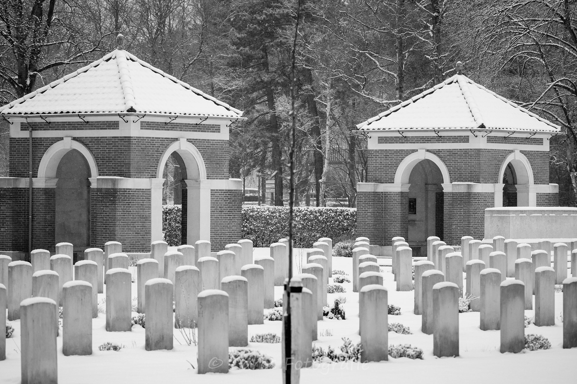 Sneeuw: 5 januari 2026