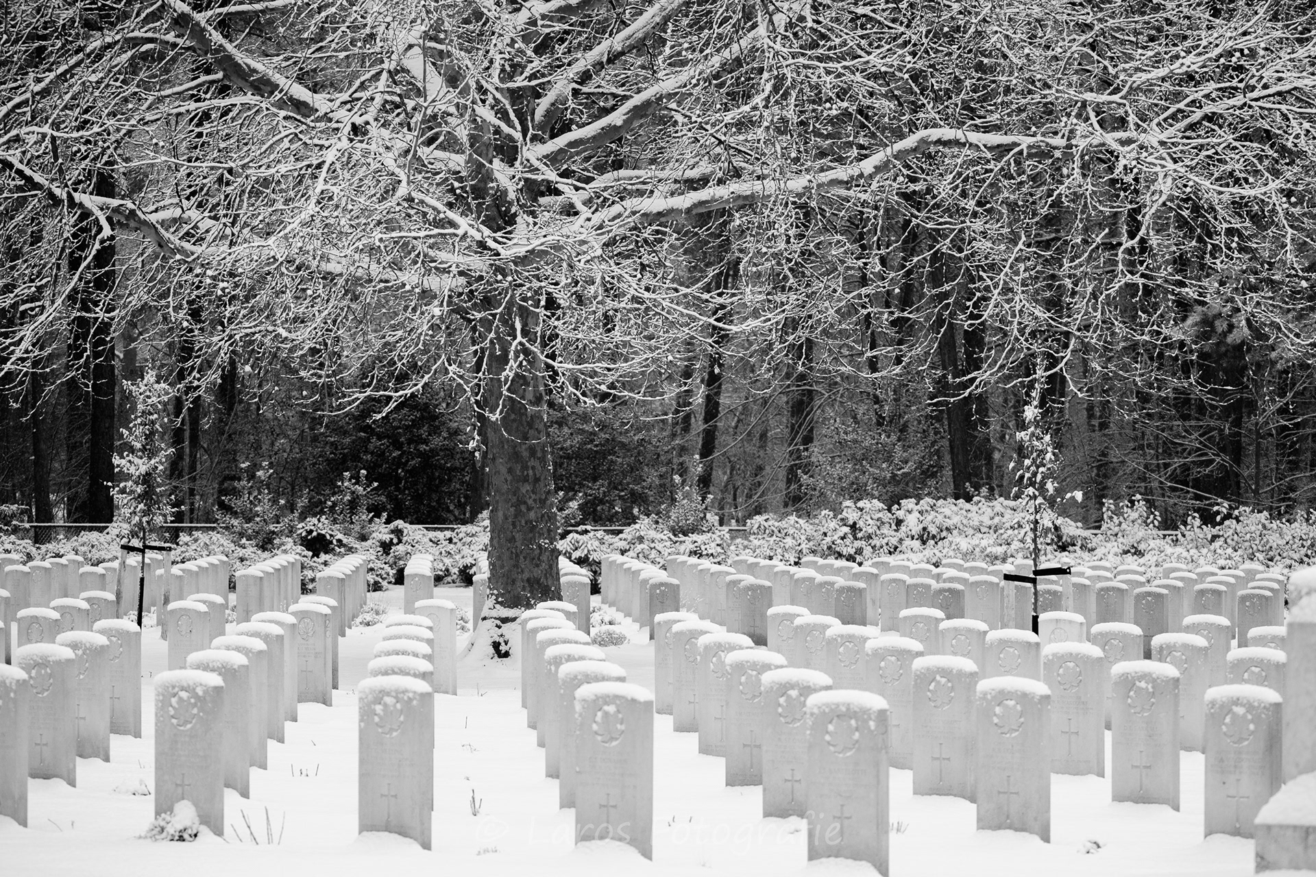 Sneeuw: 5 januari 2026