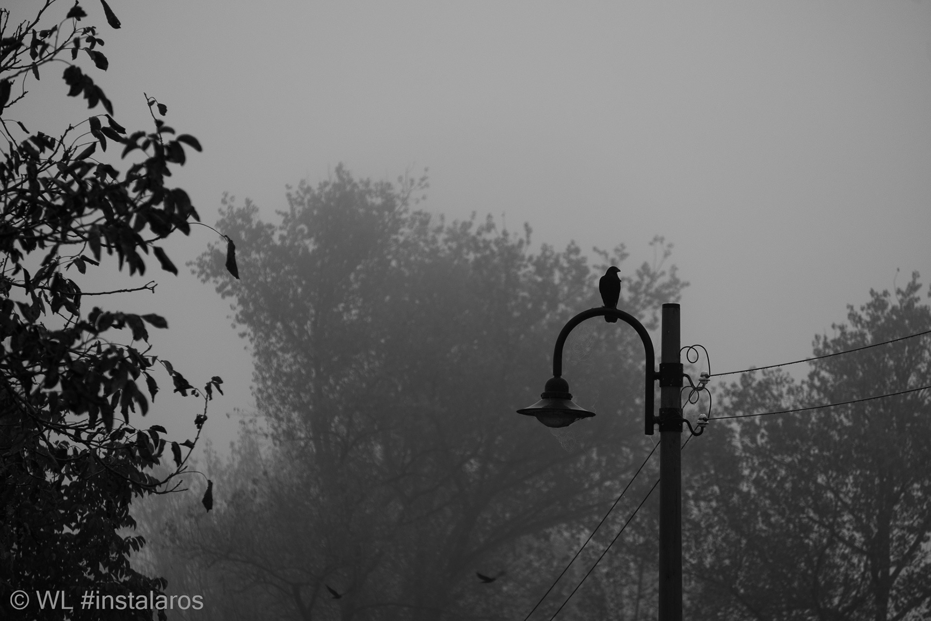 Fort Everdingen | mist