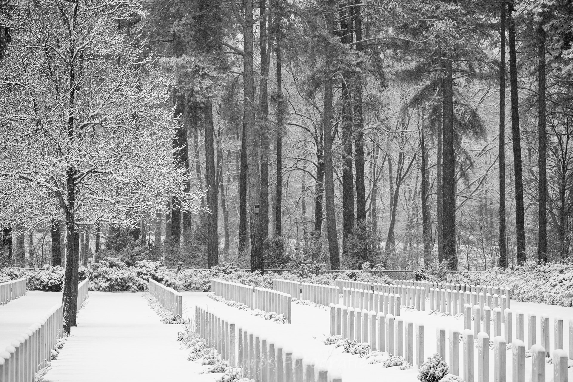 Sneeuw: 5 januari 2026