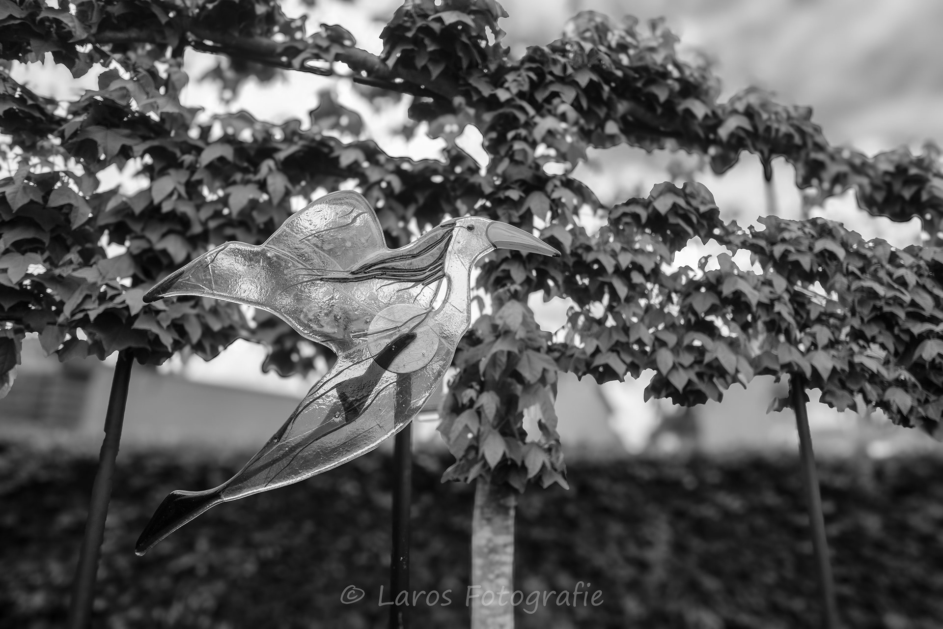 Roosendaalsestraat 43-45