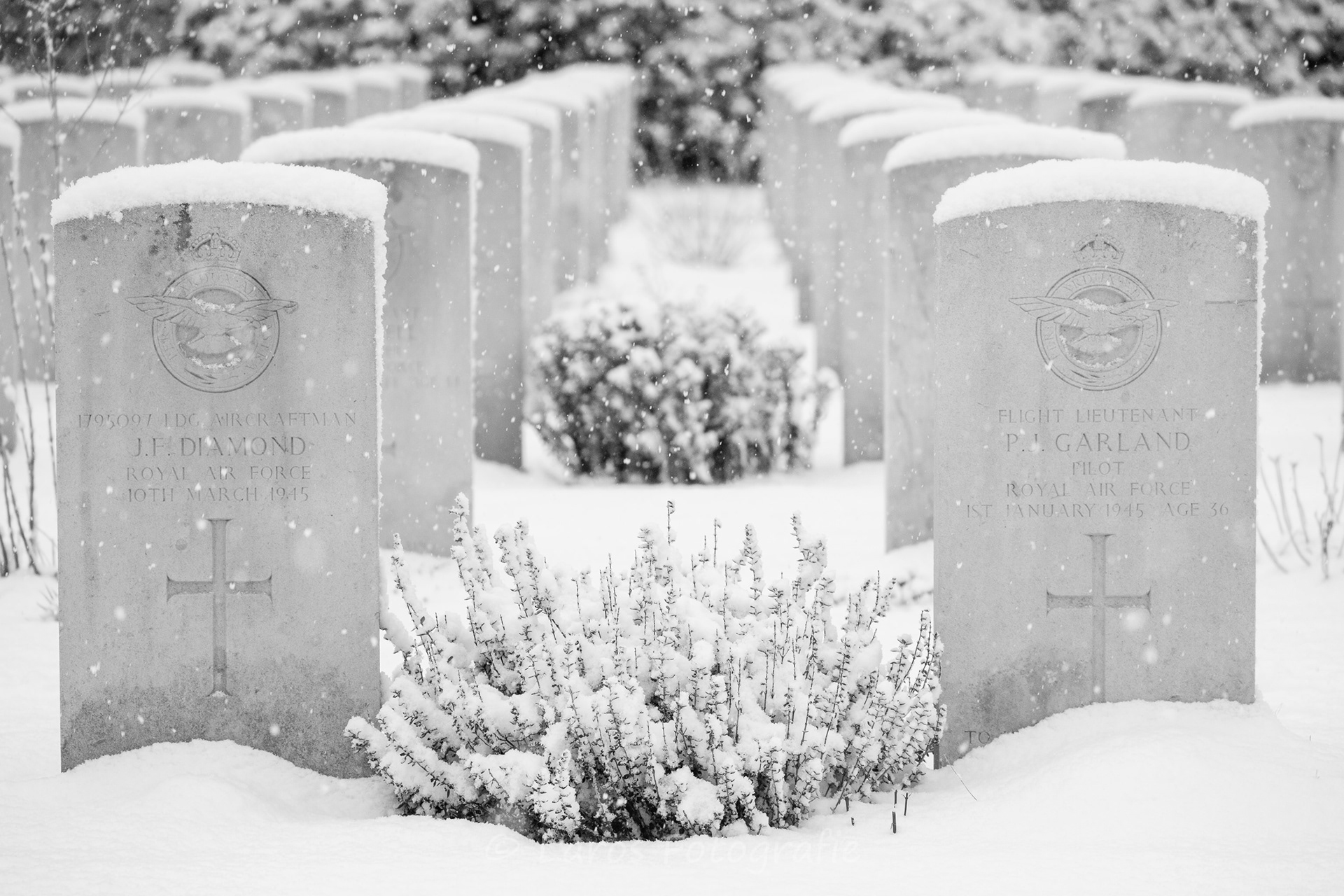 Sneeuw: 5 januari 2026