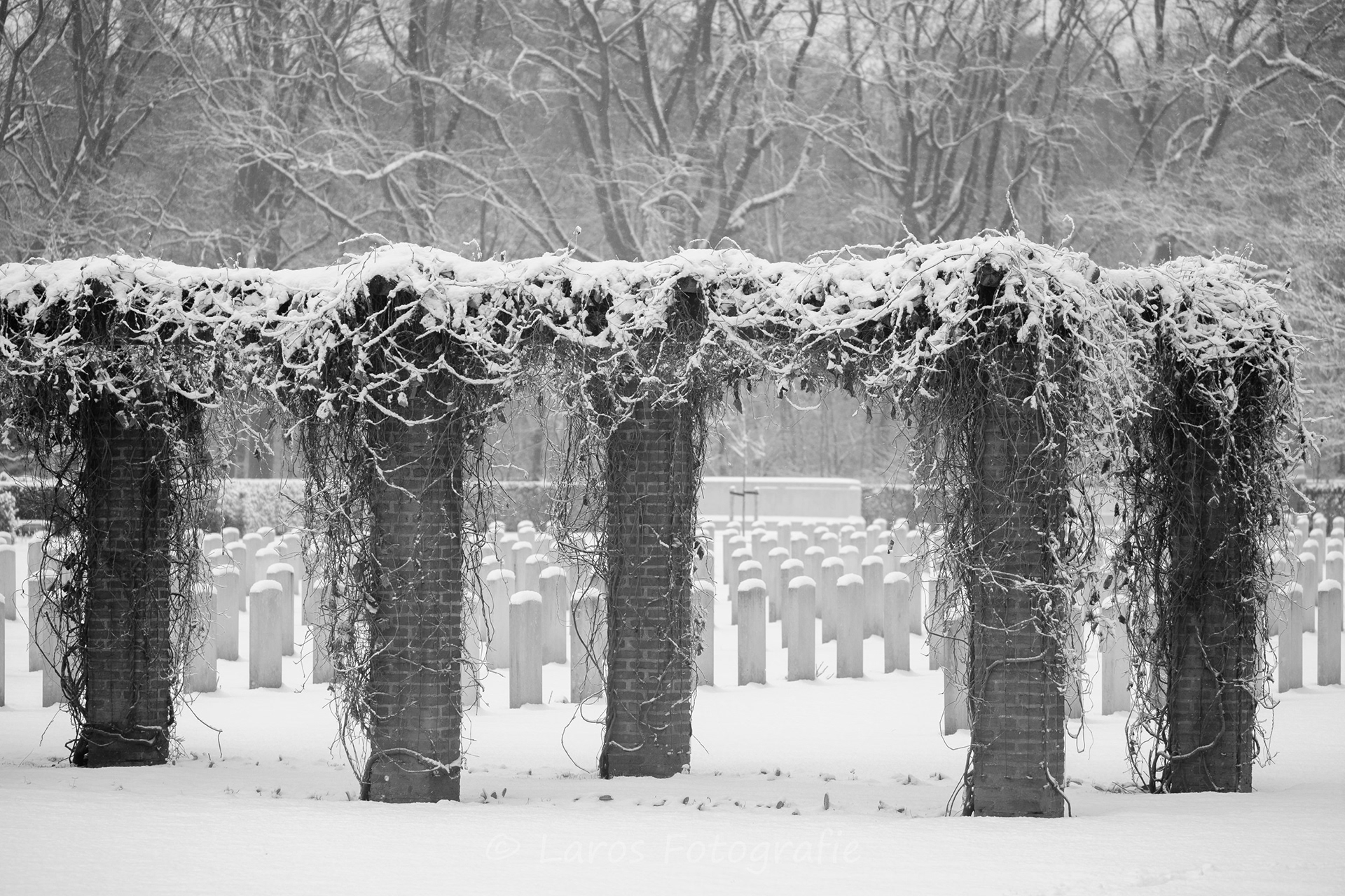 Sneeuw: 5 januari 2026