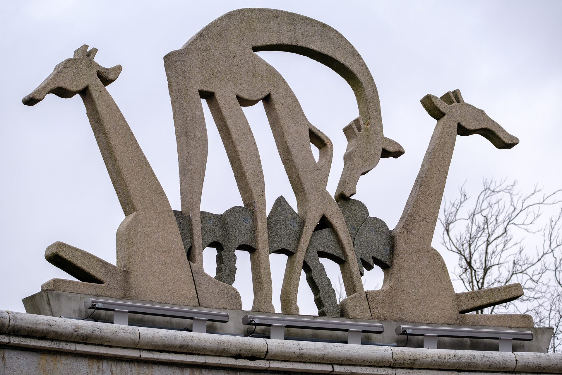Blijdorp | Rotterdam