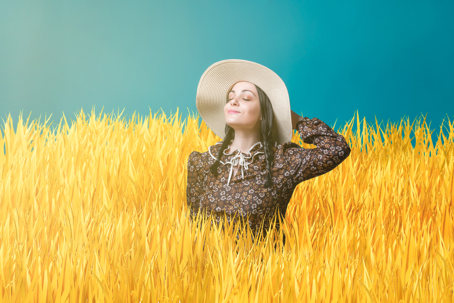 June - Fields of gold and sfp 50