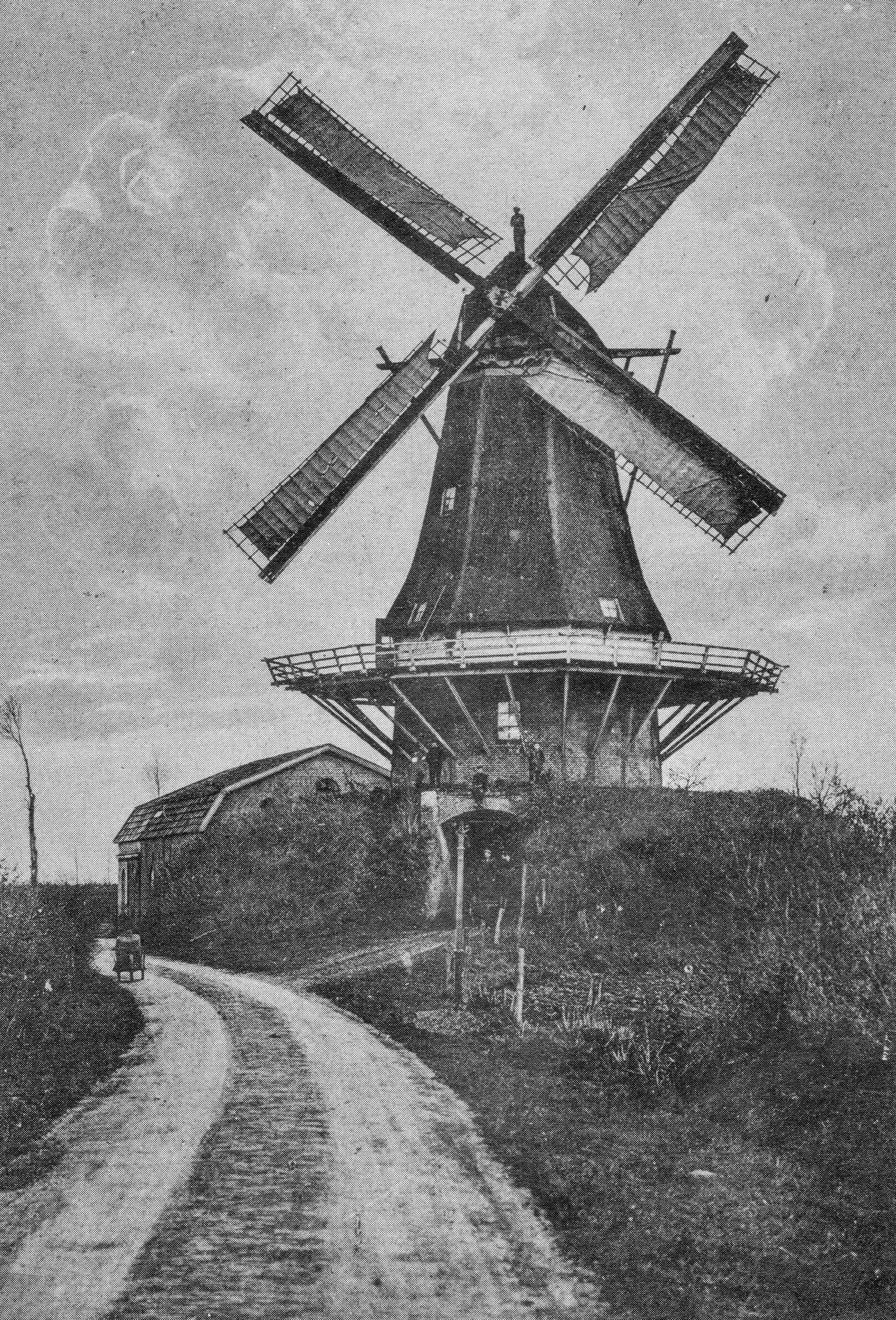 Molen Windlust