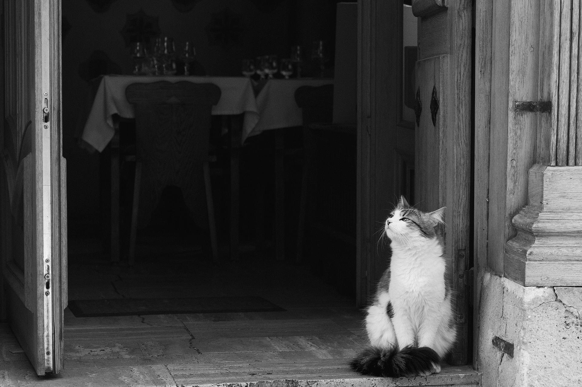 « Le parfum des cuisines » 