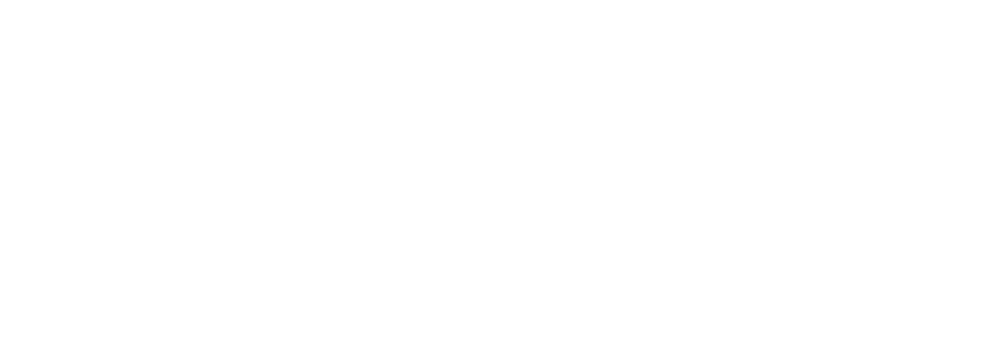 RAUL SEBASTIAN DIAZ BELTRAN