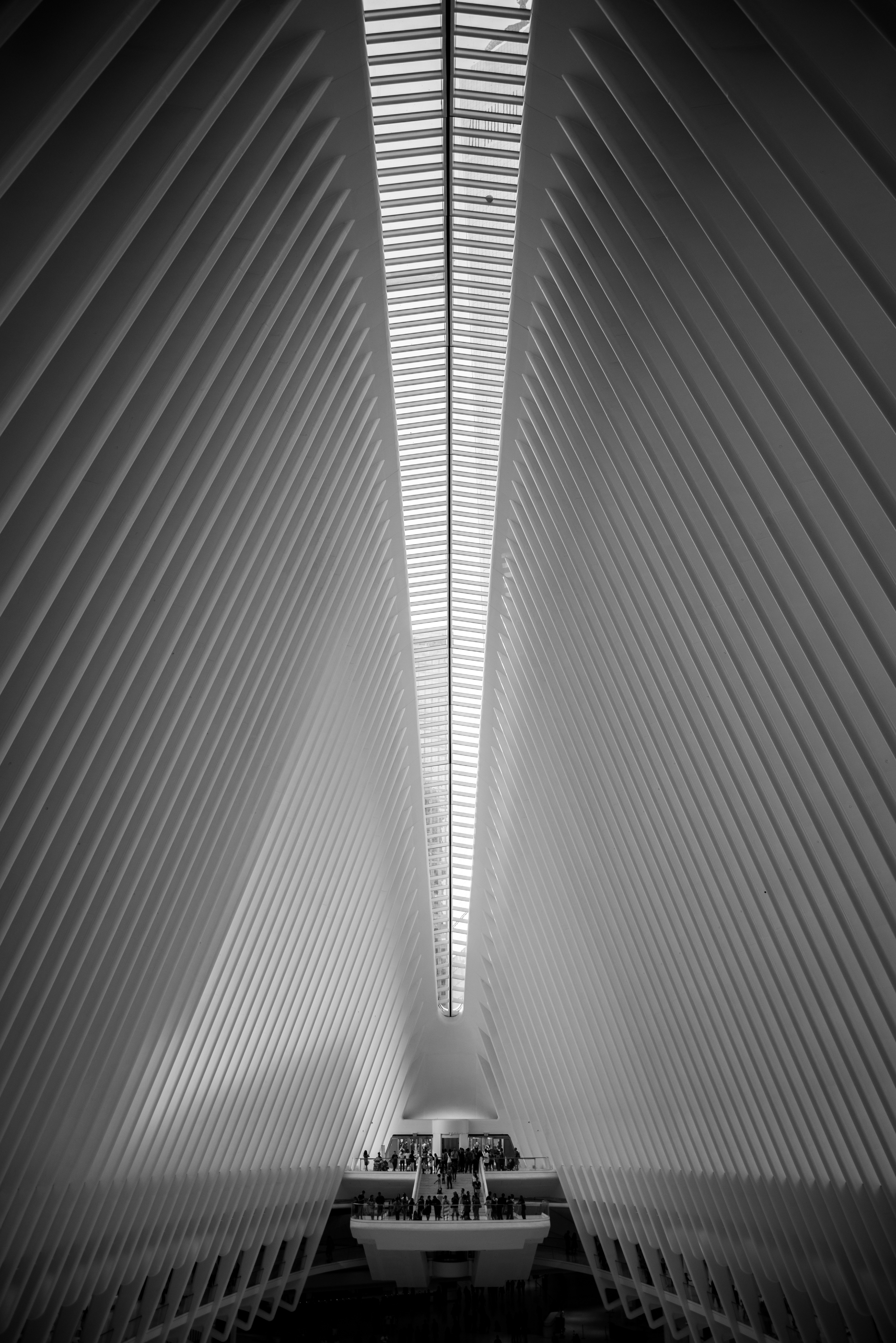 OCULUS - NEW YORK CITY, USA