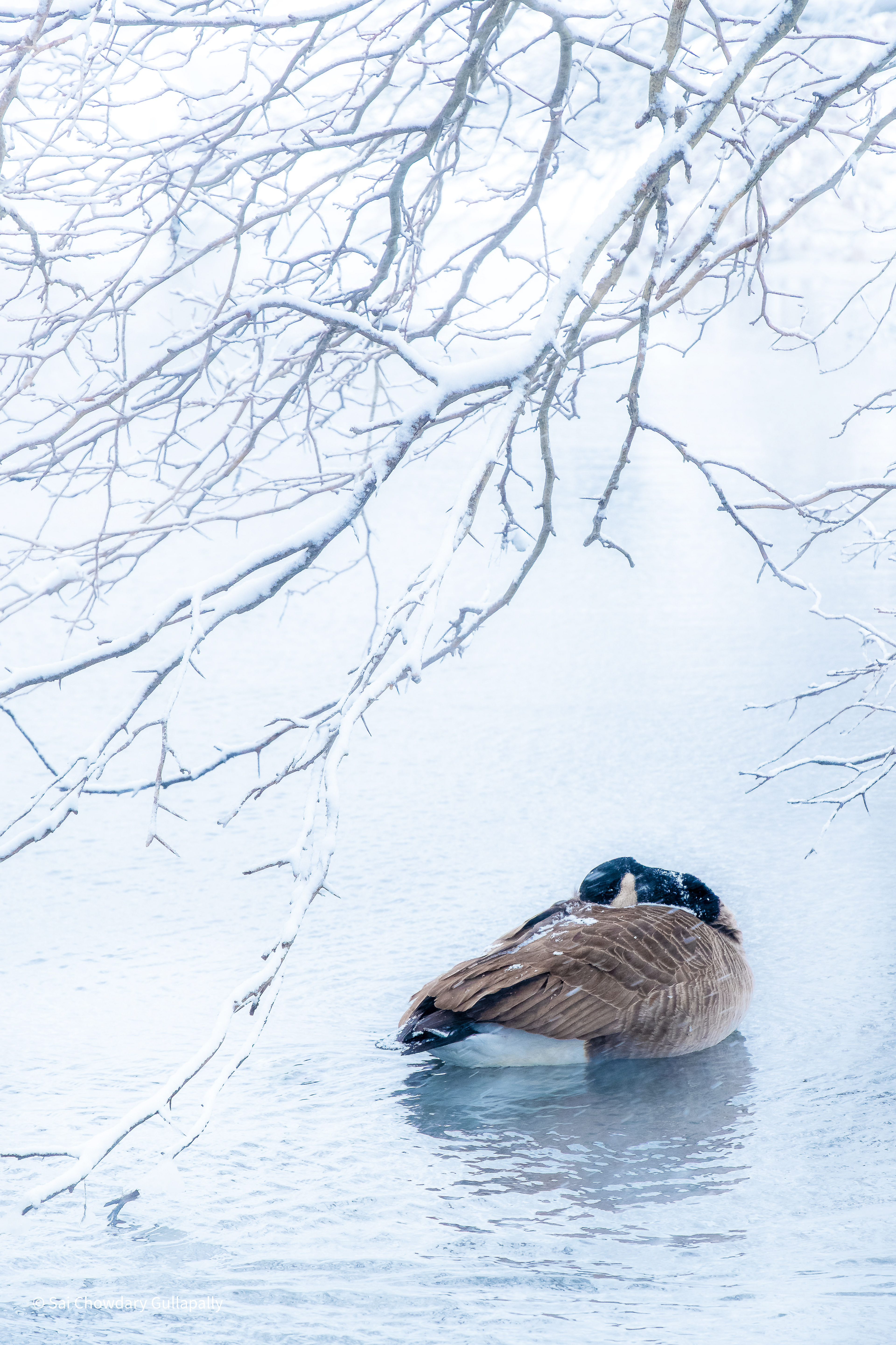 Boston, Massachusetts, USA, 2020