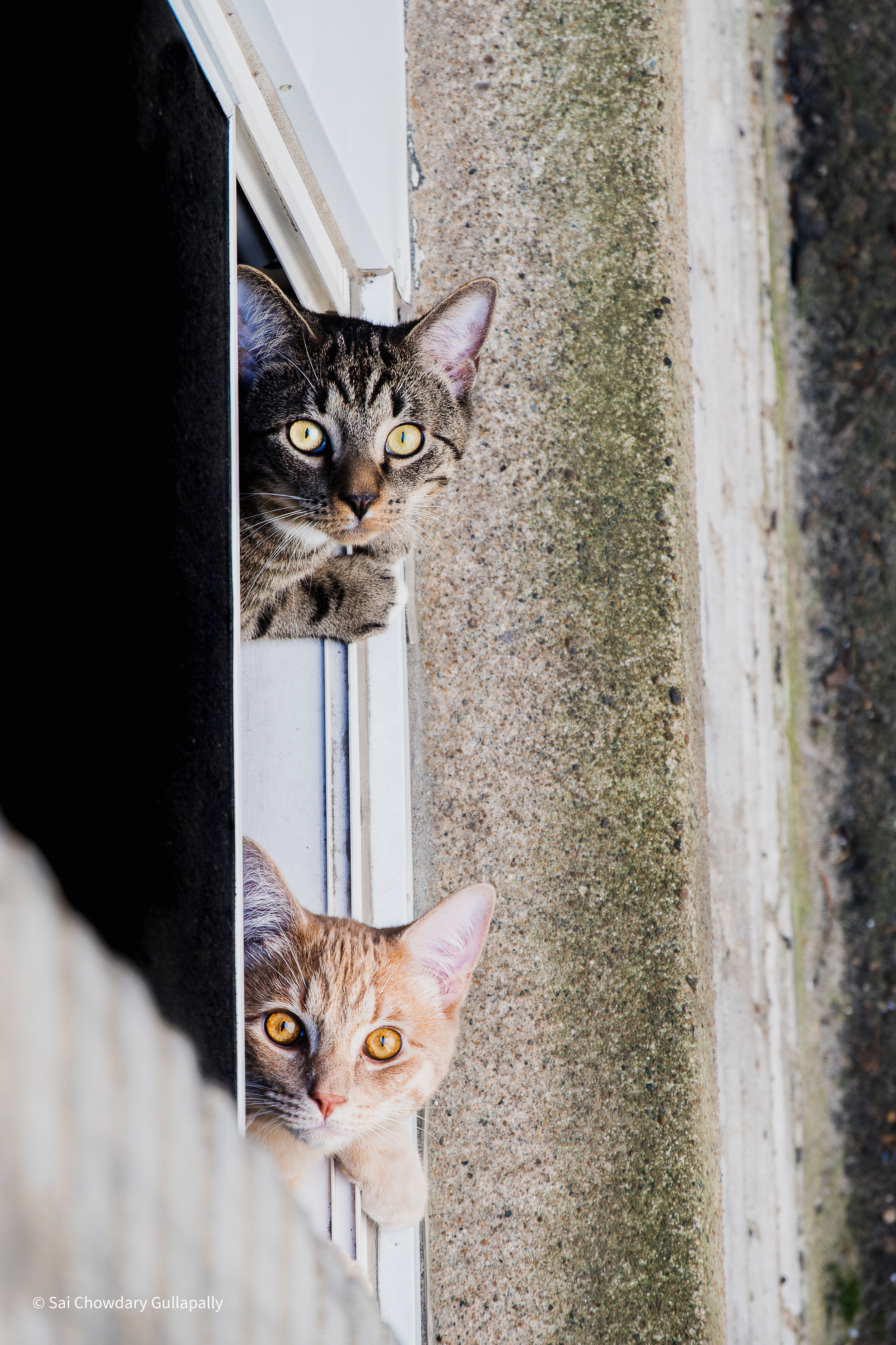 Boston, Massachusetts, USA, 2020