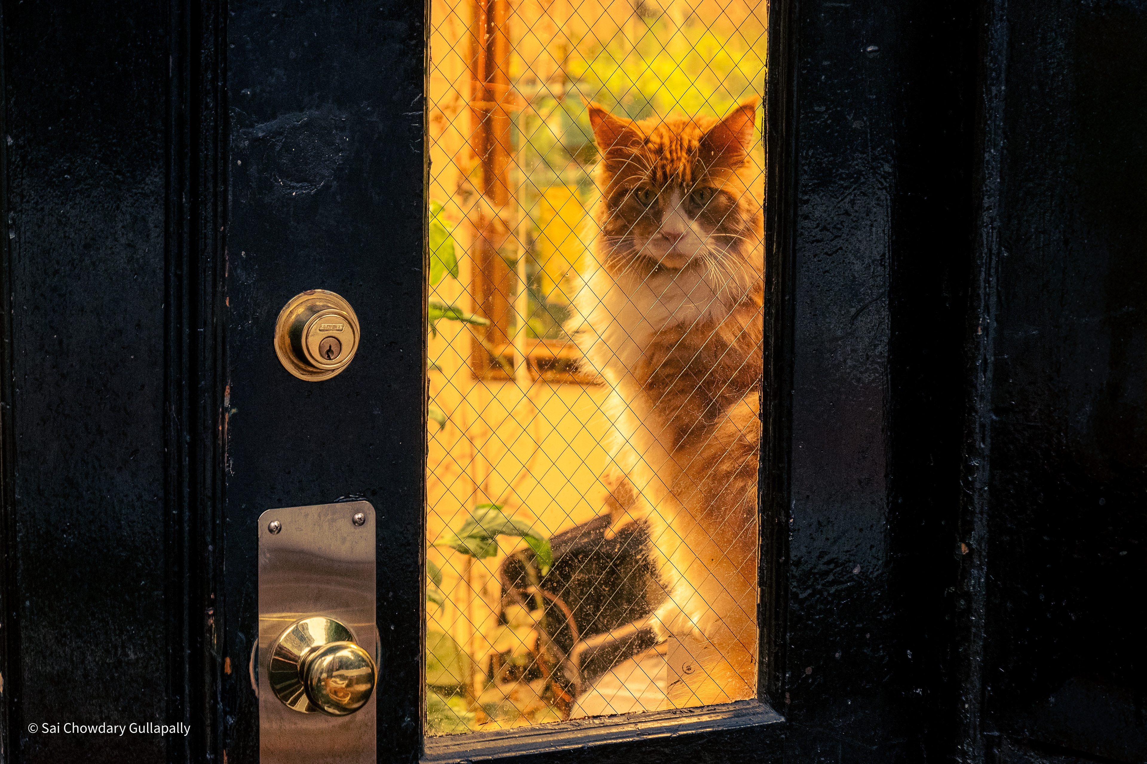 Boston, Massachusetts, USA, 2021