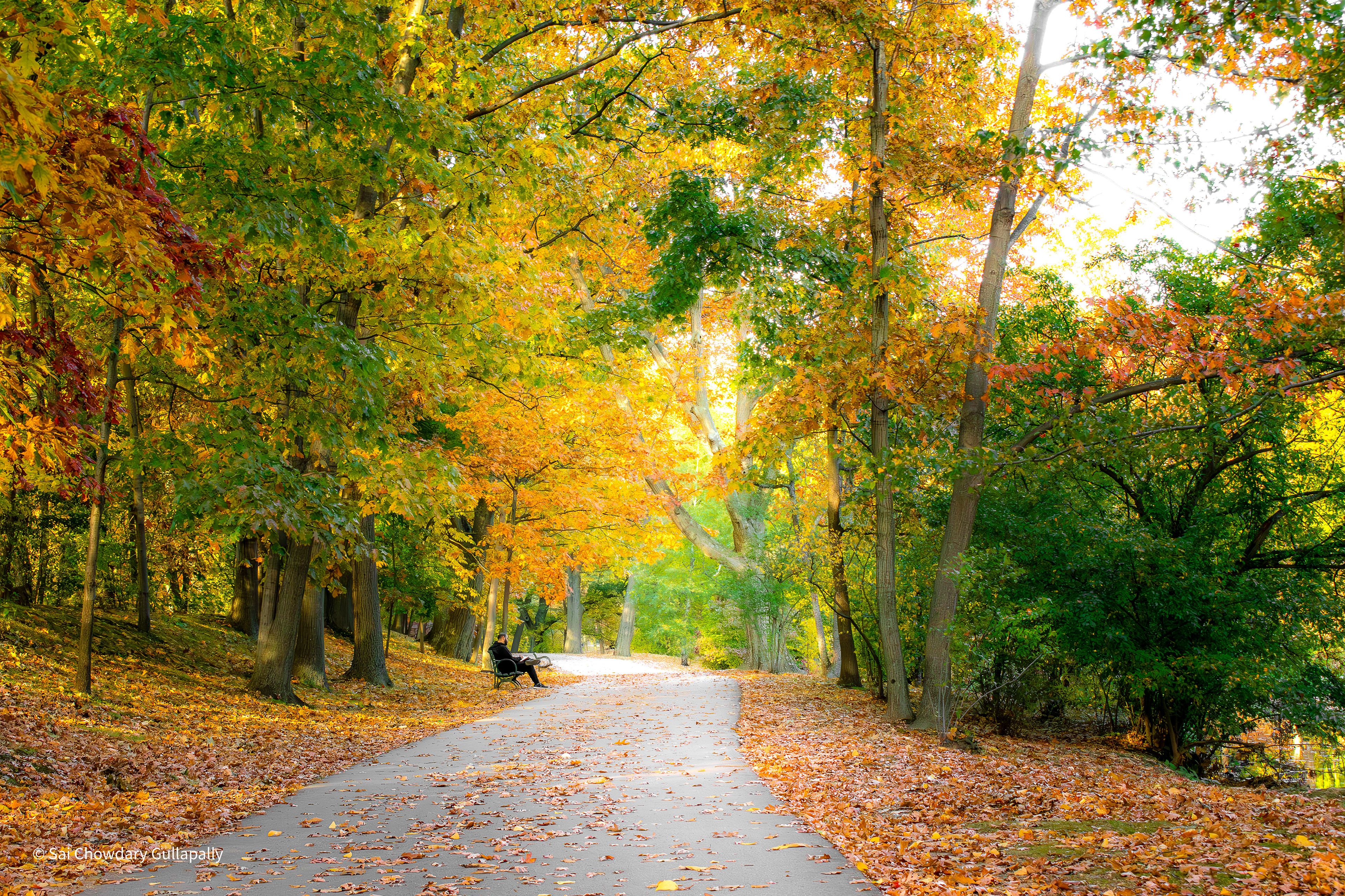 Boston, Massachusetts, USA, 2019
