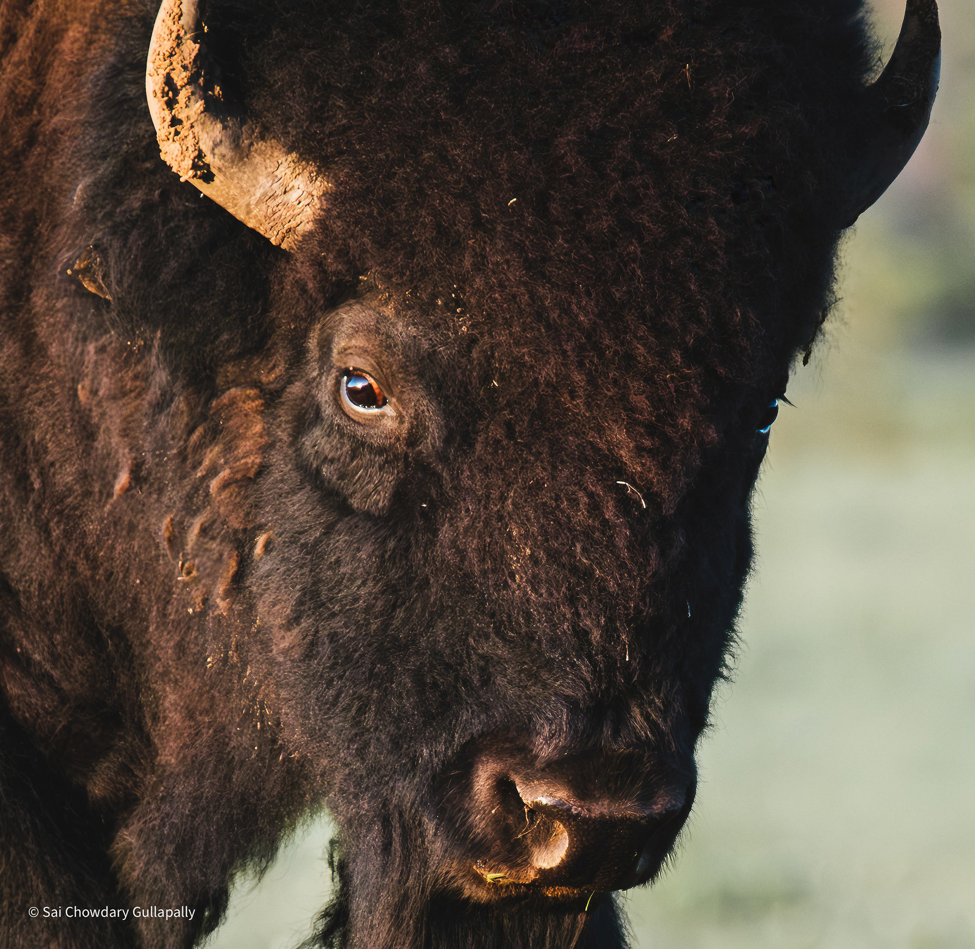 Wichita Mountains, Oklahoma, USA, 2025