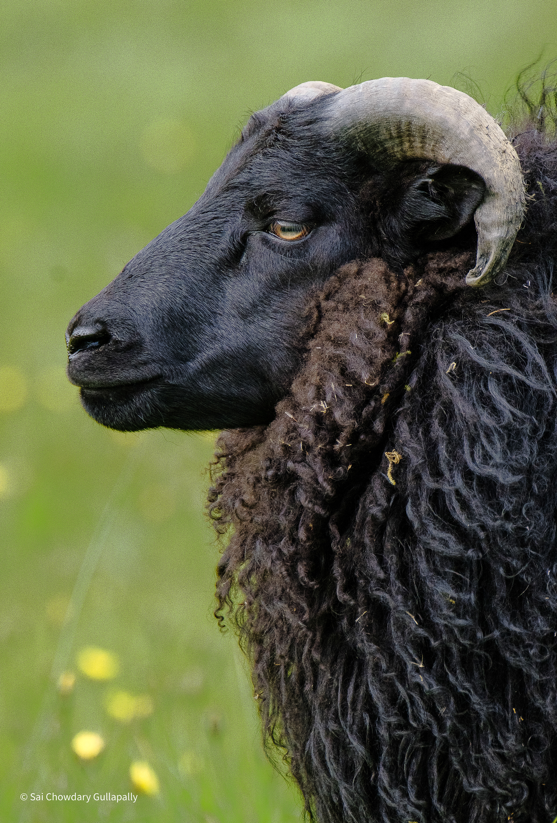 Kirkjubaejarklaustur, Iceland, 2025