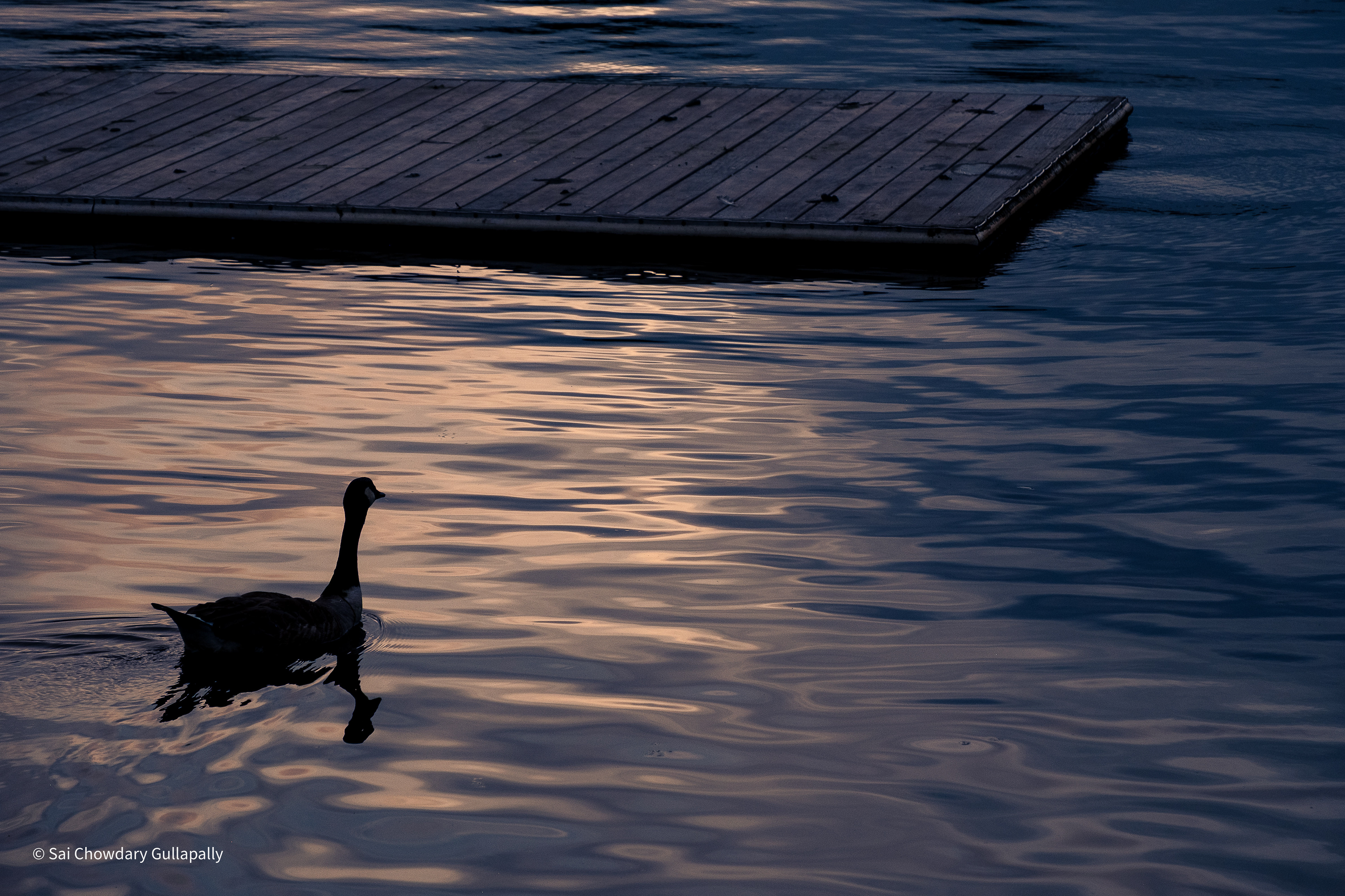 Boston, Massachusetts, USA, 2021