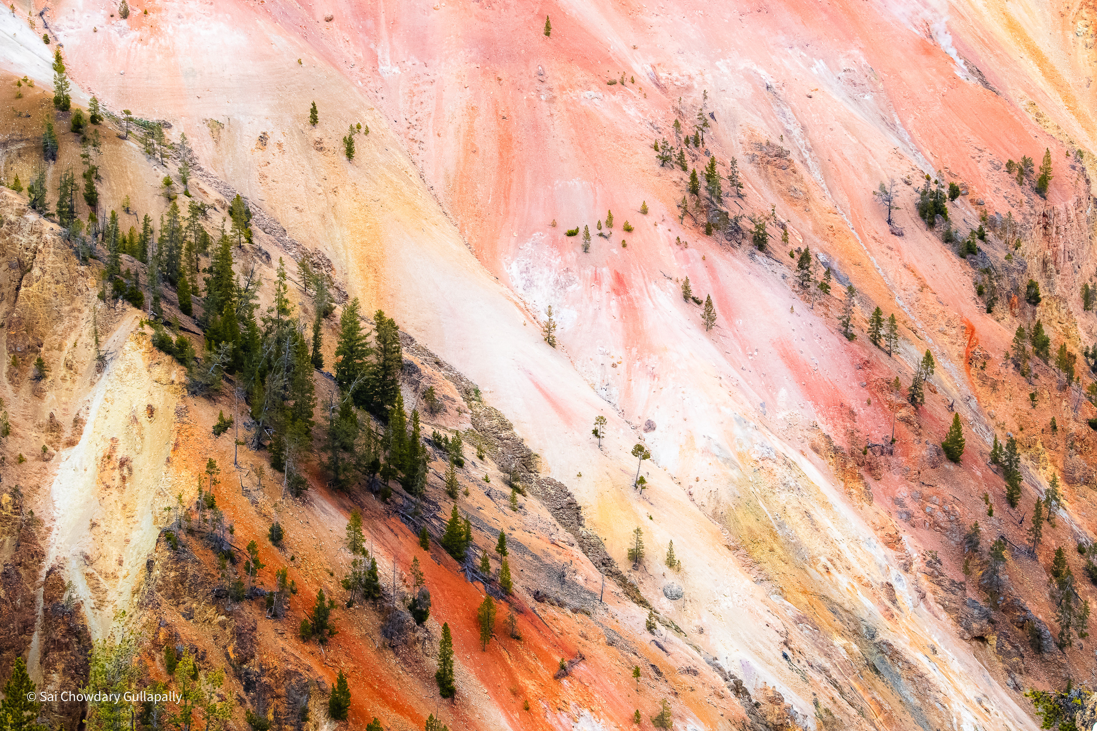 Yellowstone, Wyoming, USA, 2022