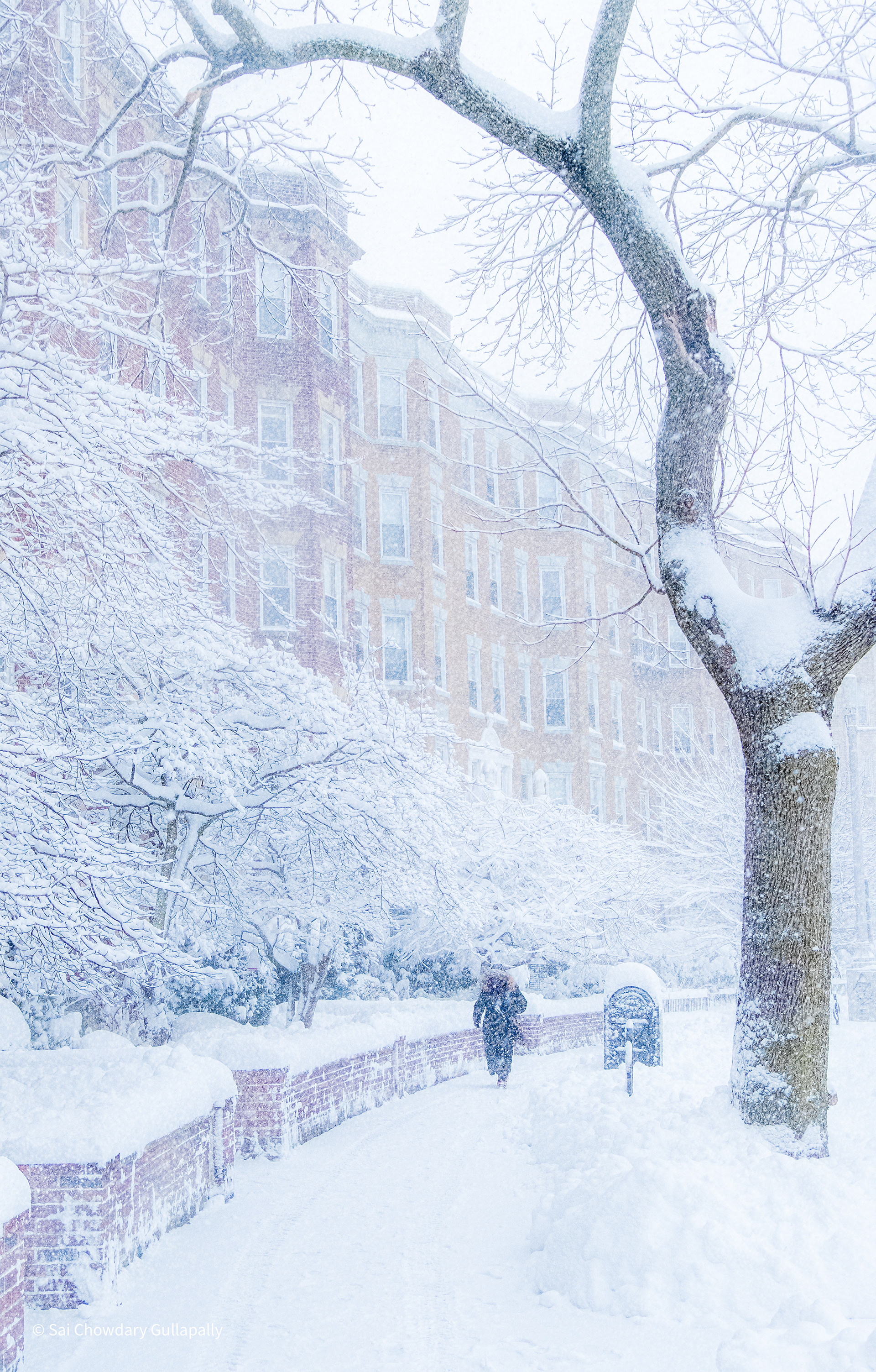 Boston, Massachusetts, USA, 2020