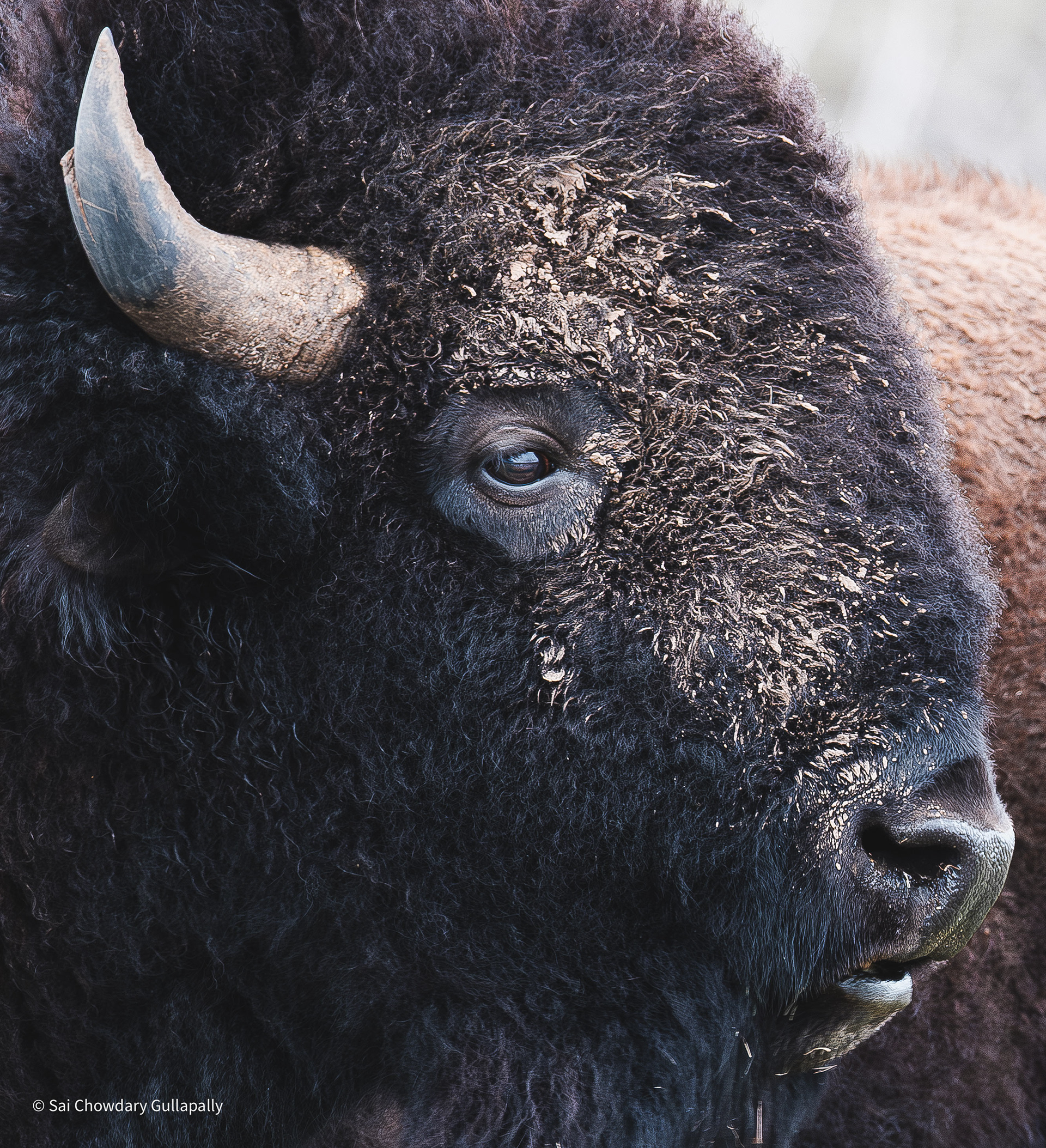 Wichita Mountains, Oklahoma, USA, 2025