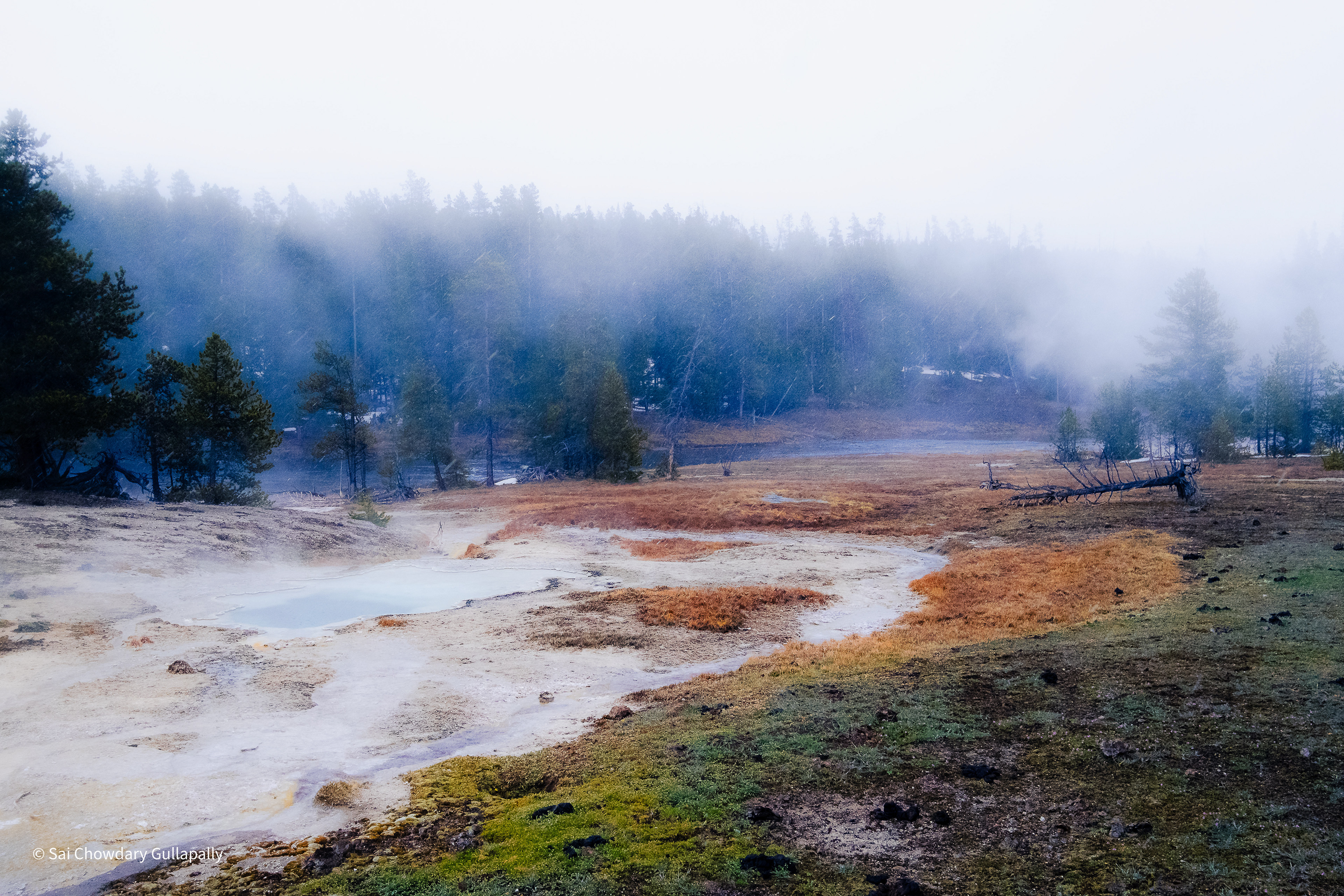 Yellowstone, Wyoming, USA, 2022