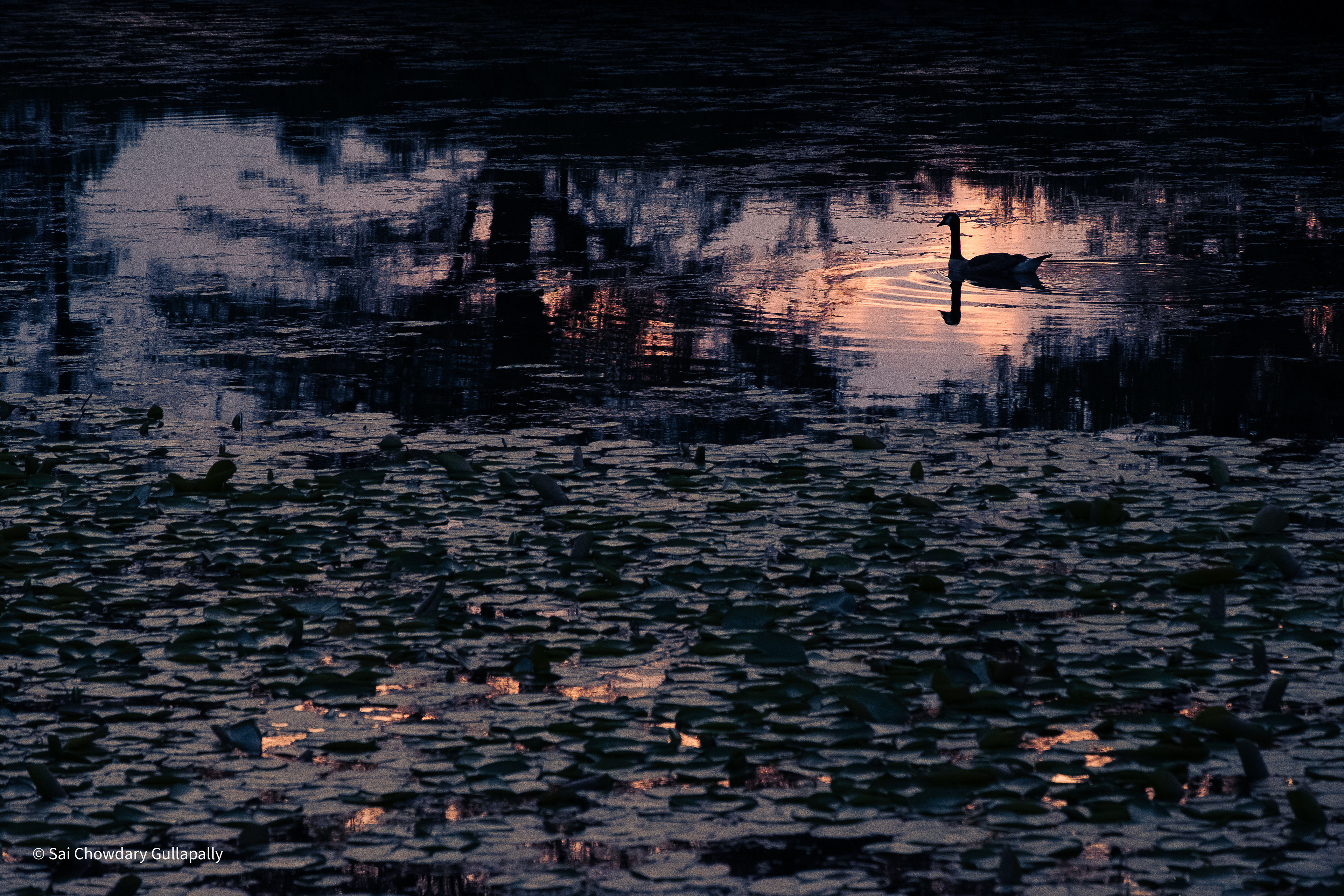 Boston, Massachusetts, USA, 2021