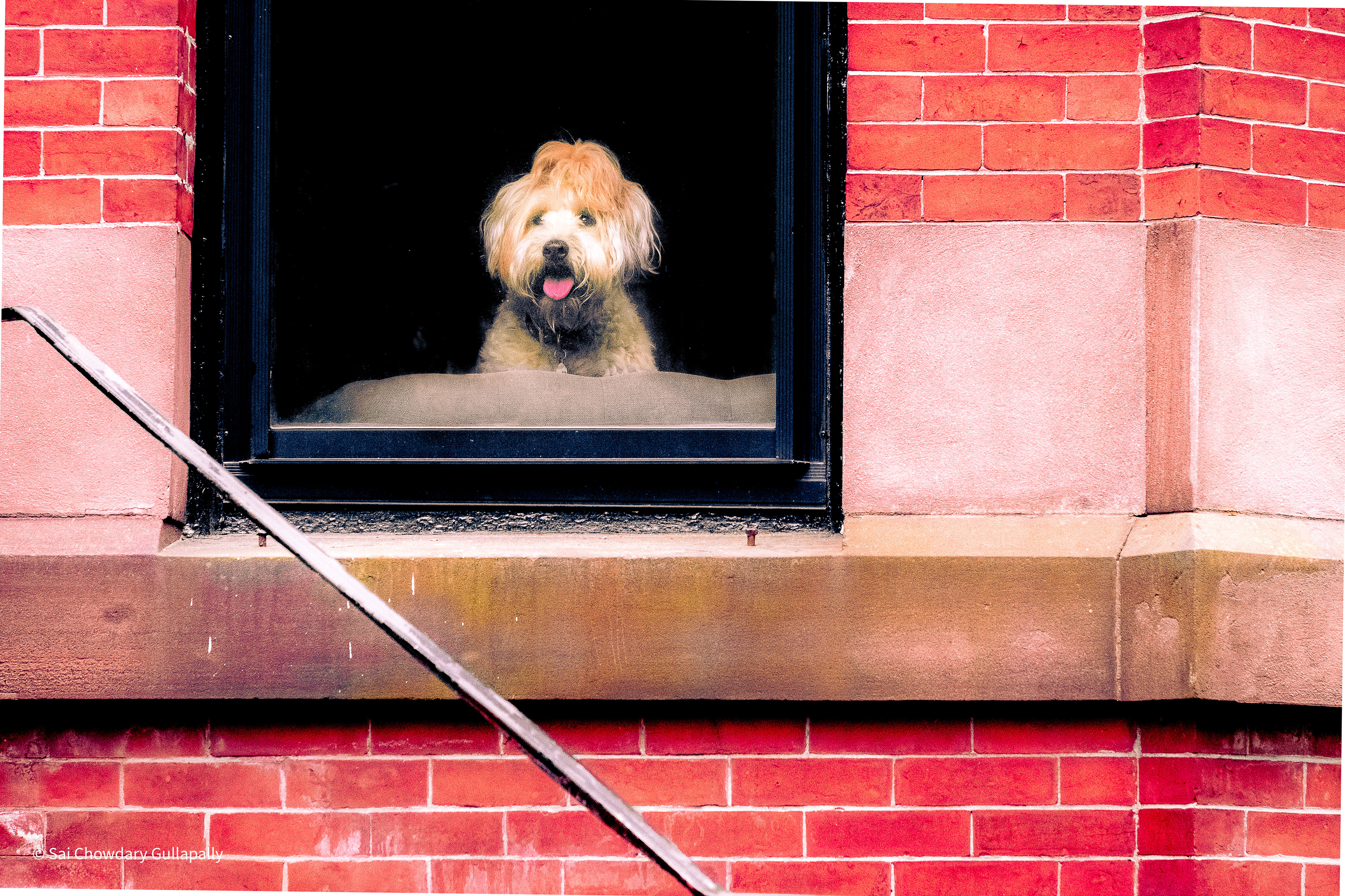 Boston, Massachusetts, USA, 2021