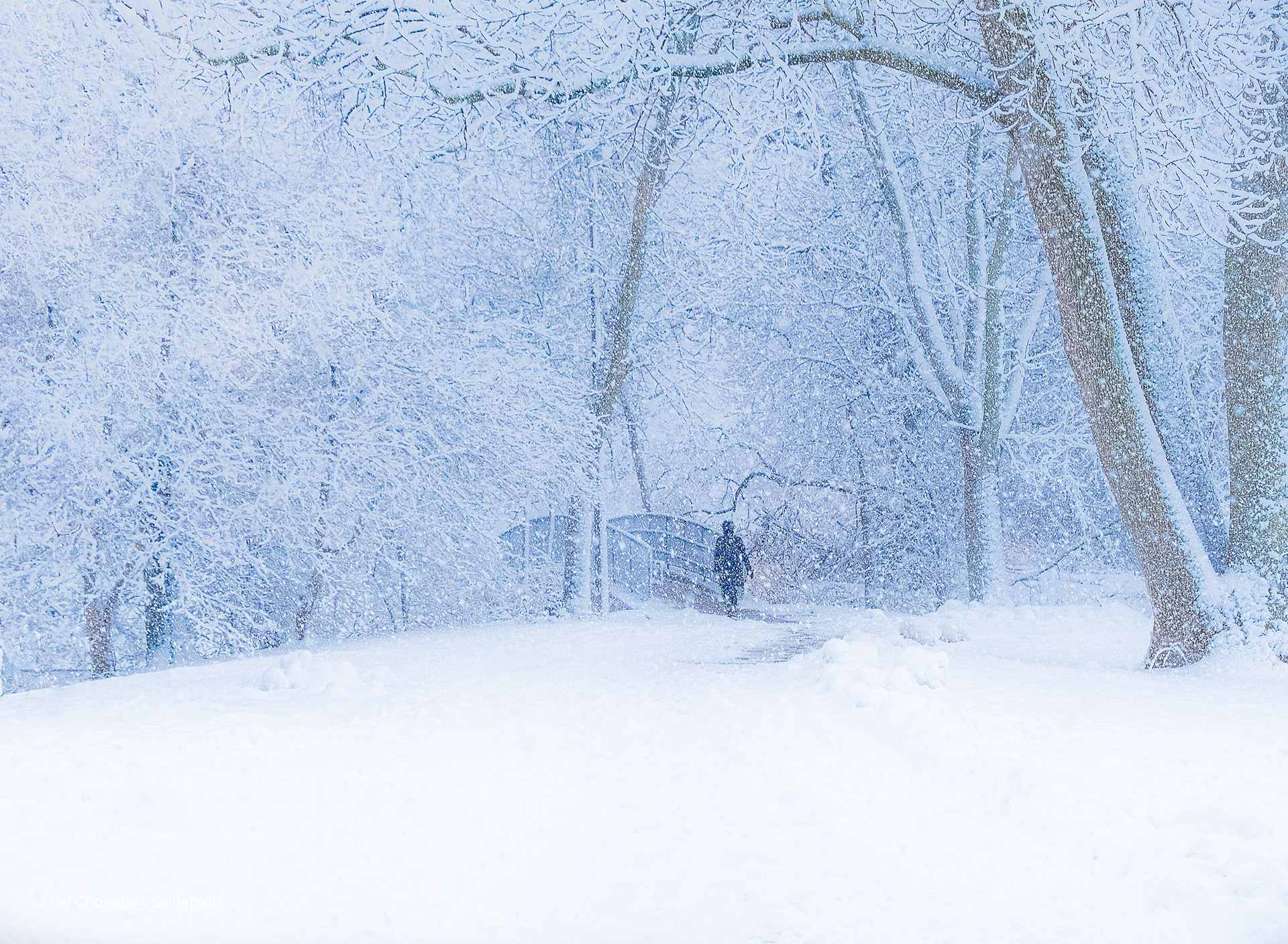 Boston, Massachusetts, USA, 2021