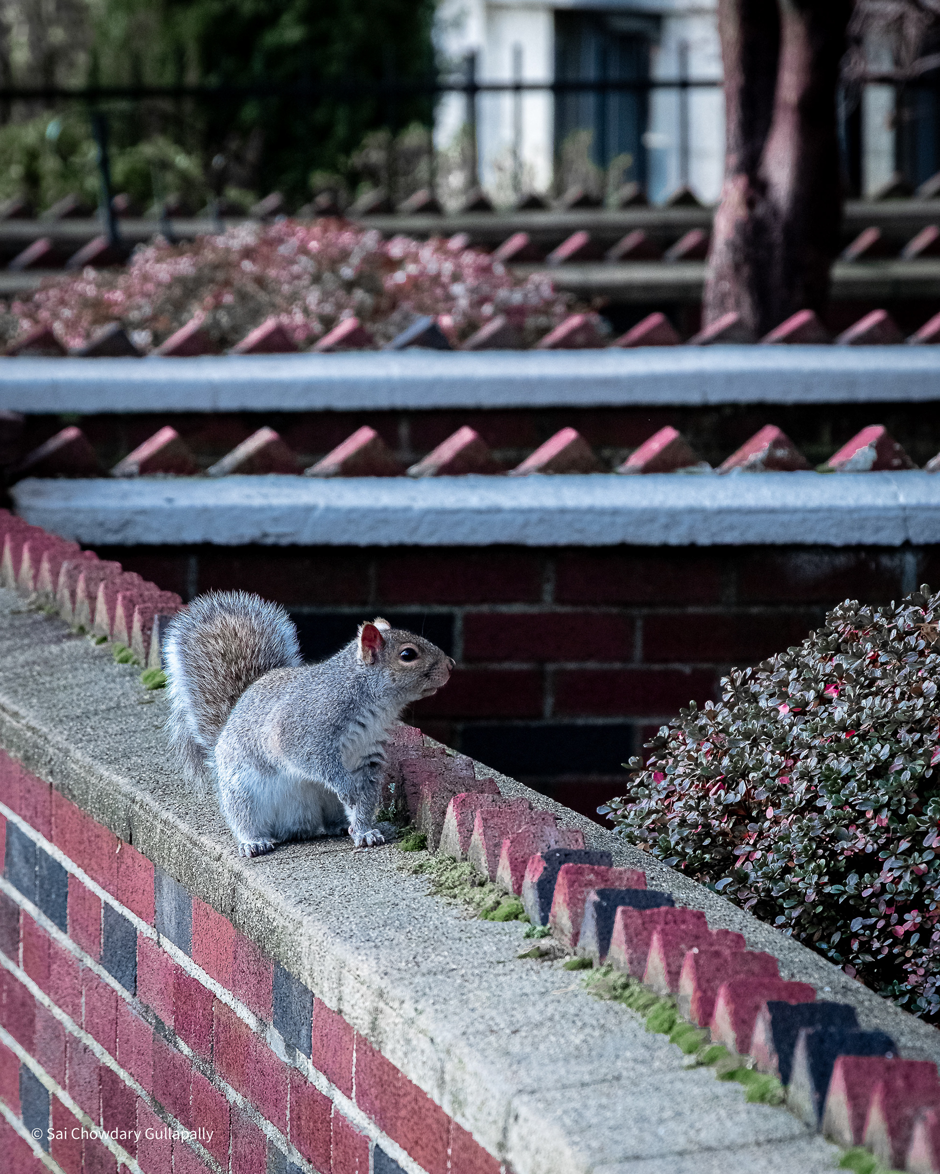 Boston, Massachusetts, USA, 2020