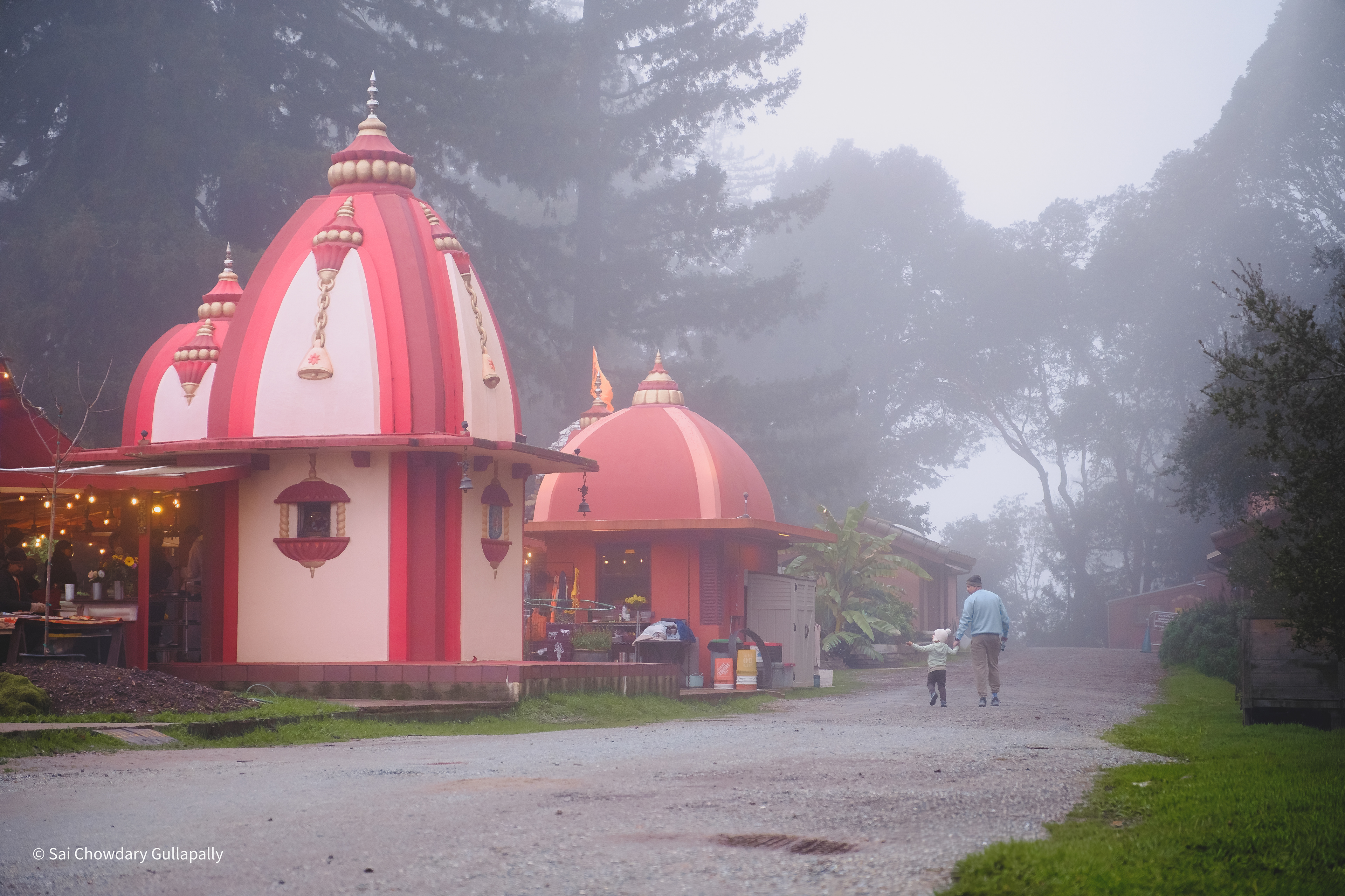 Mount Madonna, California, USA, 2026